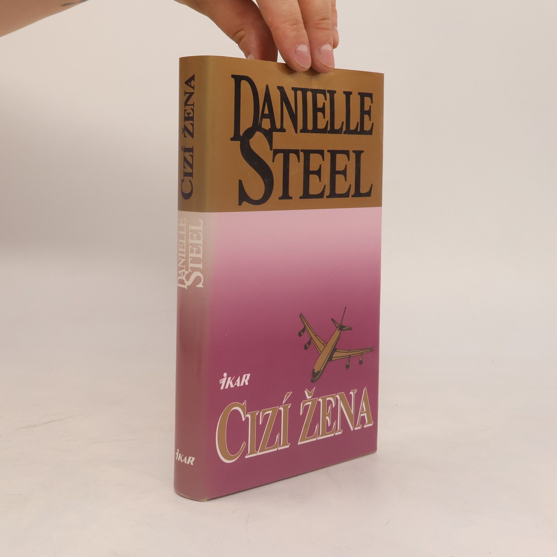 Danielle Steel Cizí žena
