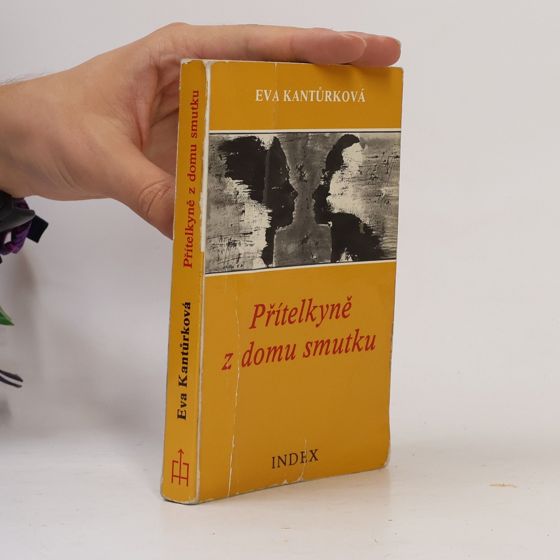 Eva Kantůrková Přítelkyně z domu smutku