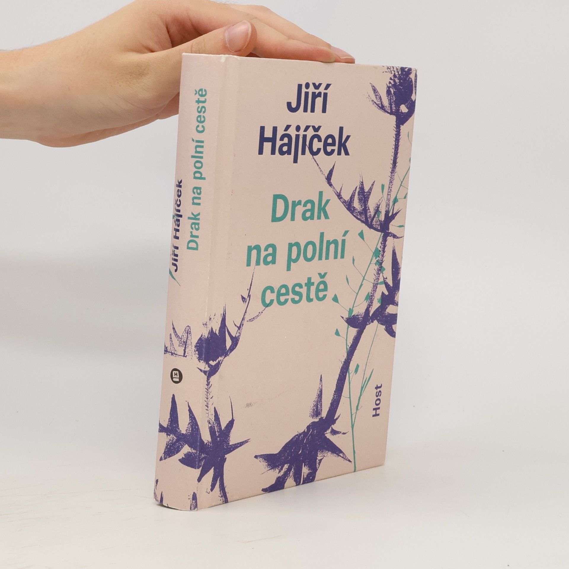 Jiří Hájíček Drak na polní cestě