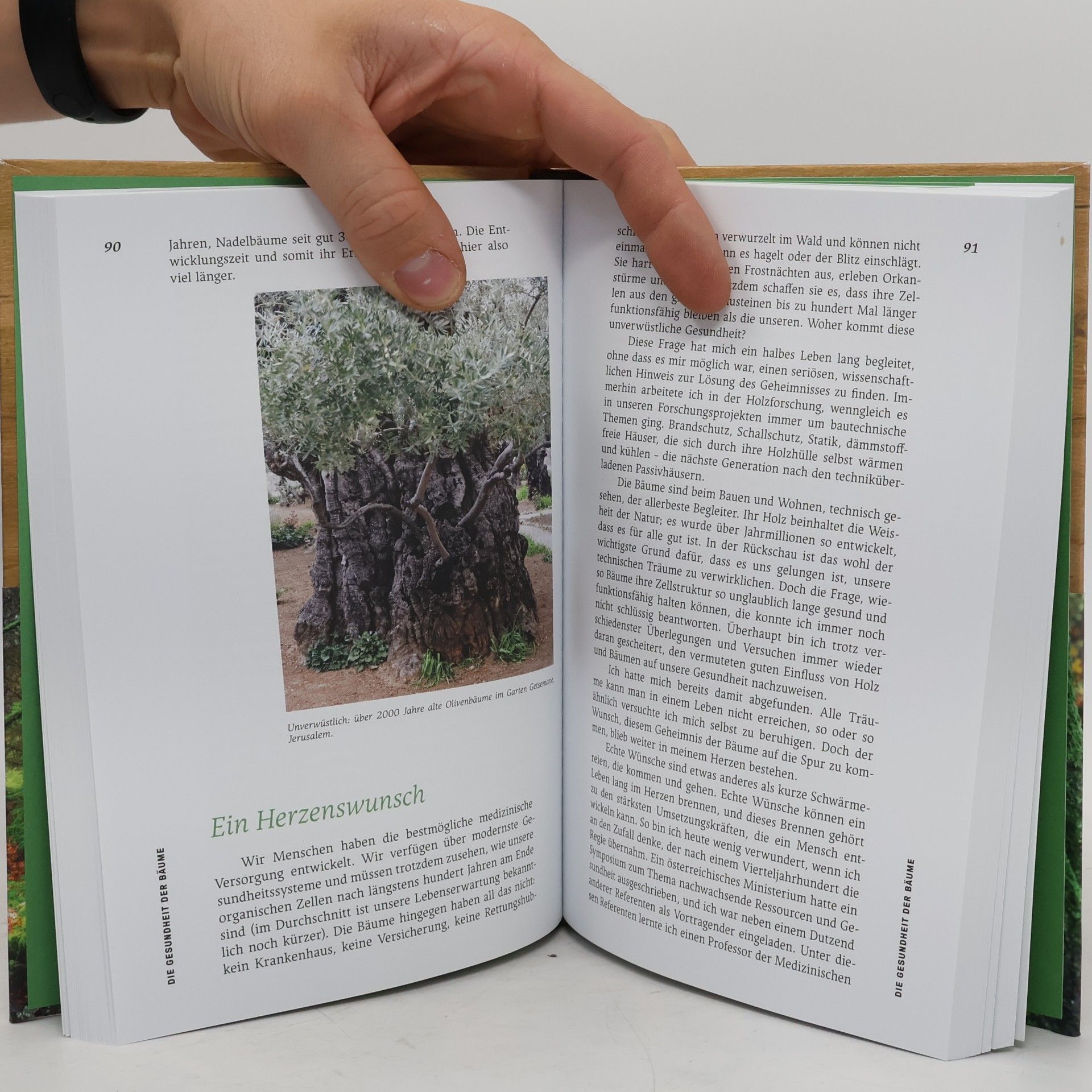 Erwin Thoma Strategien der Natur
