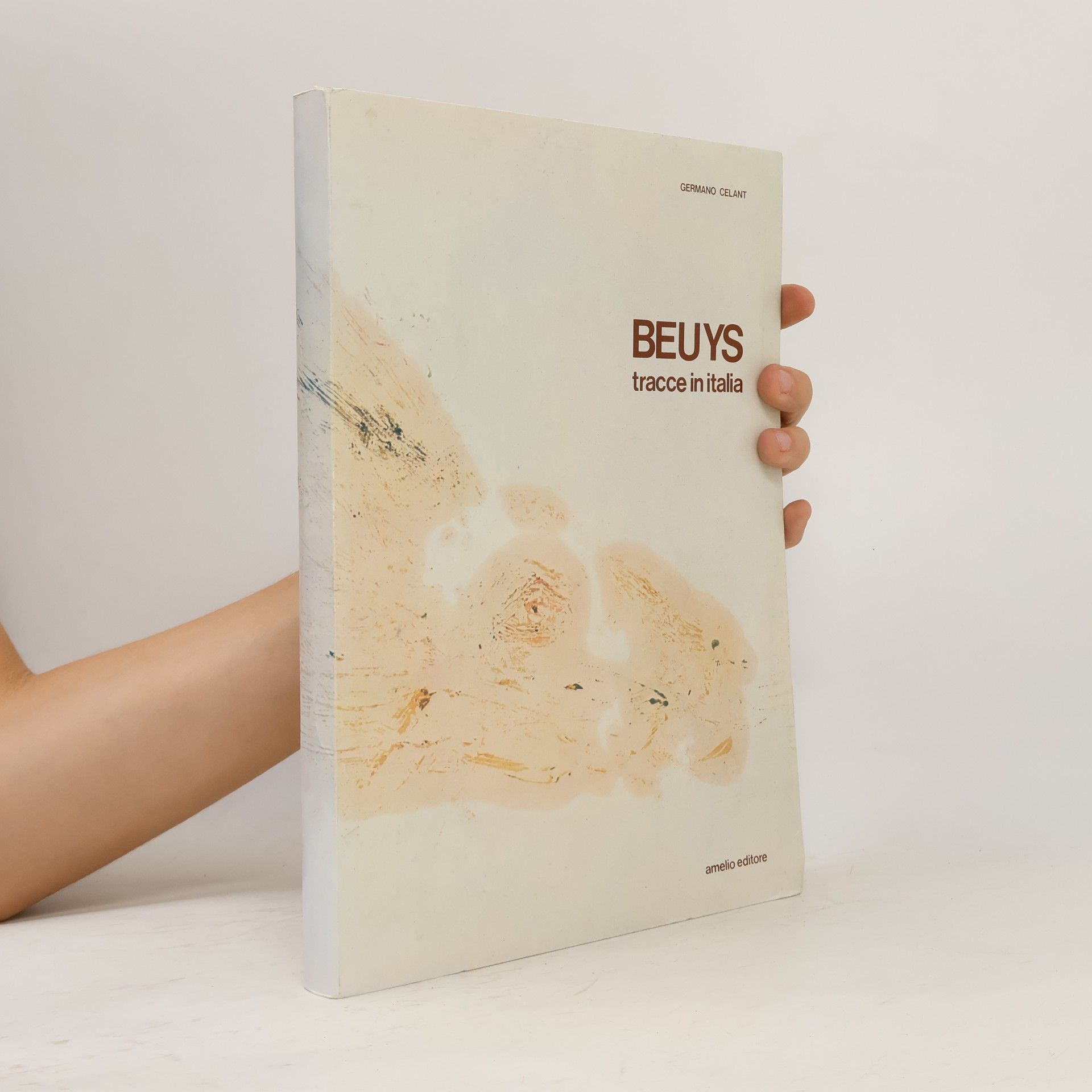 Beuys, tracce in Italia