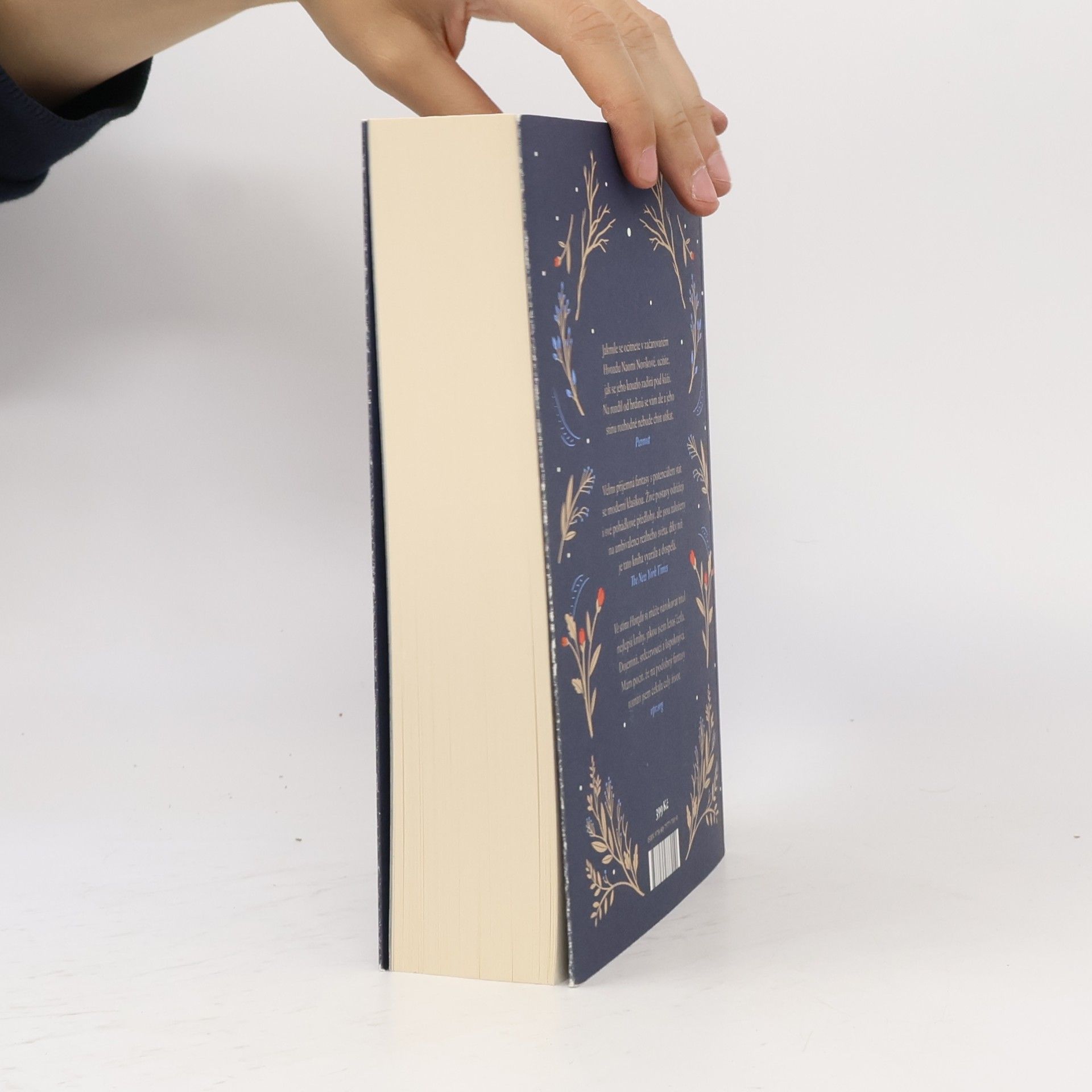 Naomi Novik Ve stínu Hvozdu
