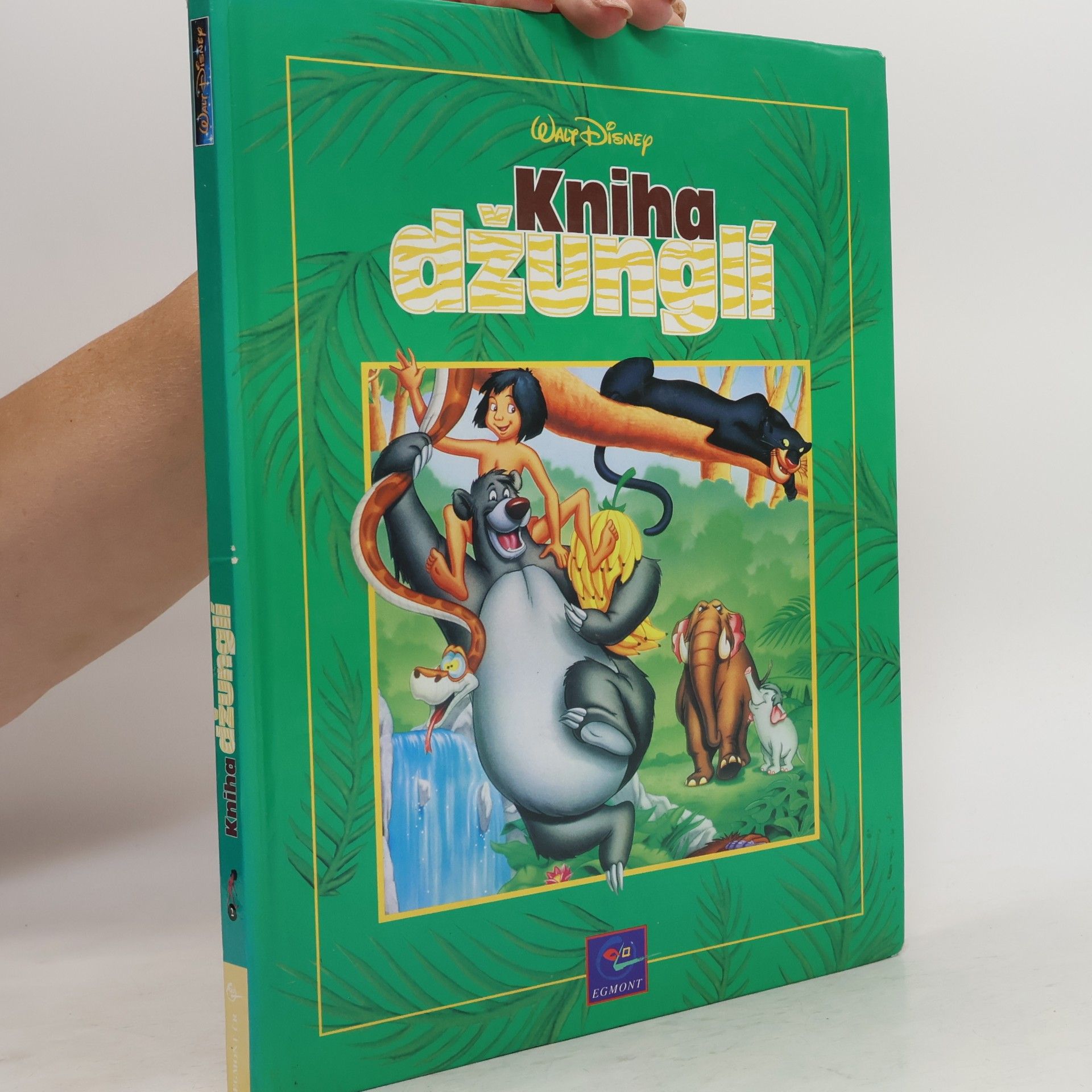 Walt Disney Kniha džunglí