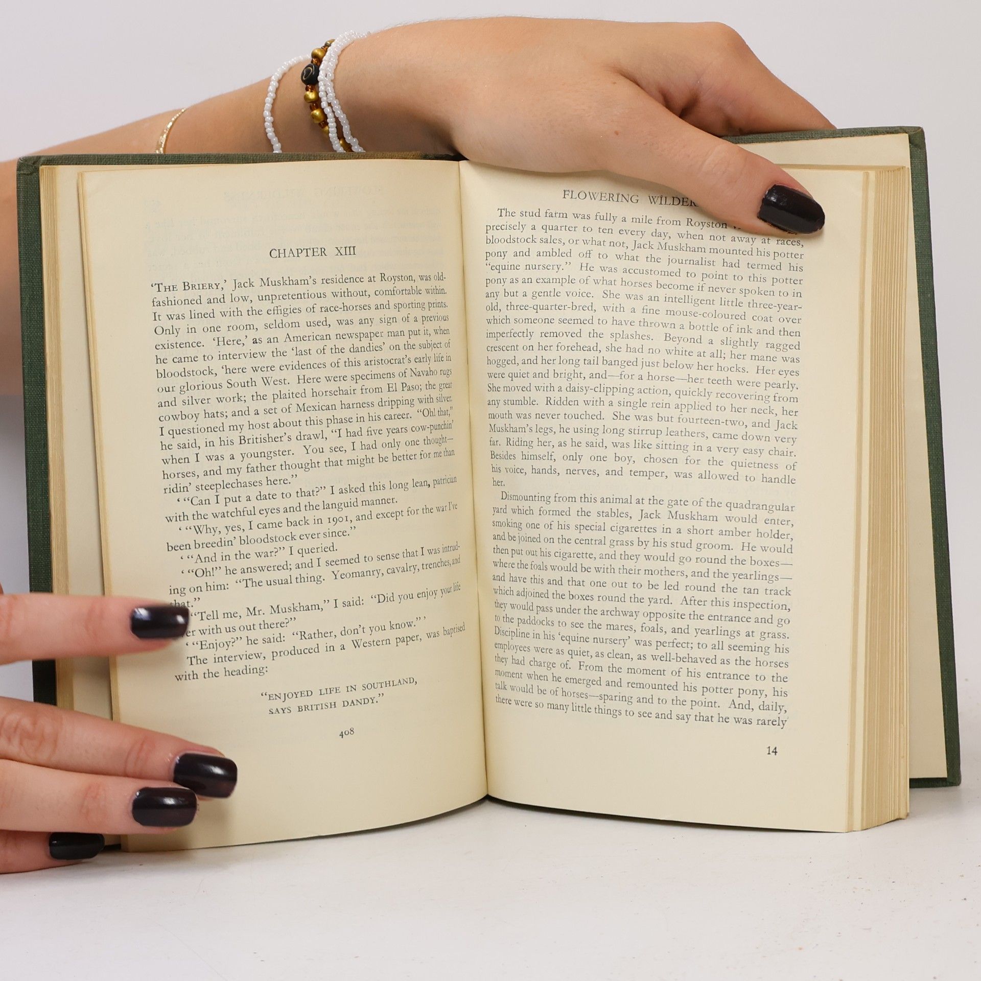 John Galsworthy End of the Chapter