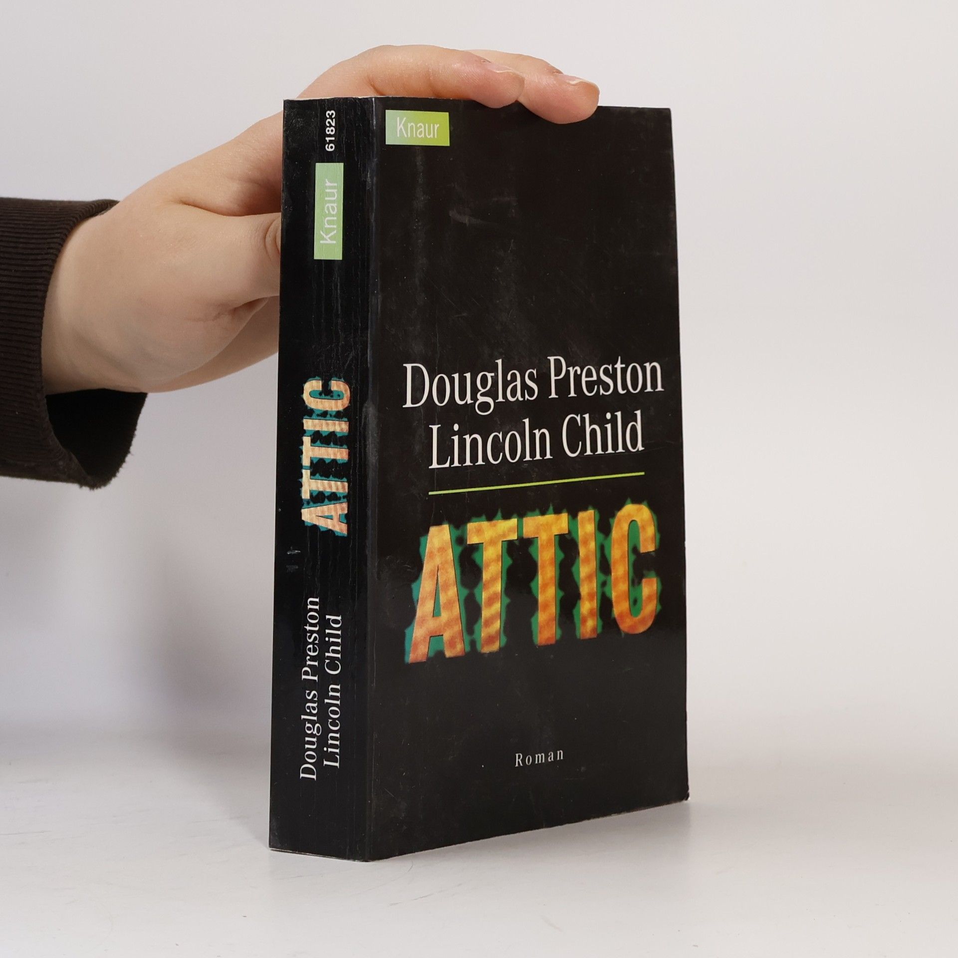 Lincoln Child Attic