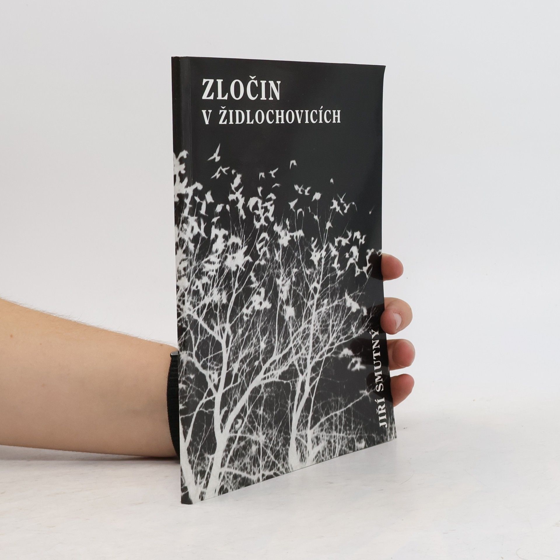 Jiří Smutný Zločin v Židlochovicích : vývoj kriminality, bezpečnostních složek, soudnictví a trestů v dějinách města