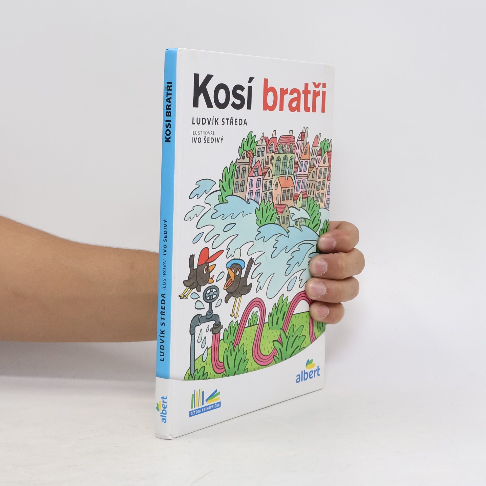 Kosí bratři