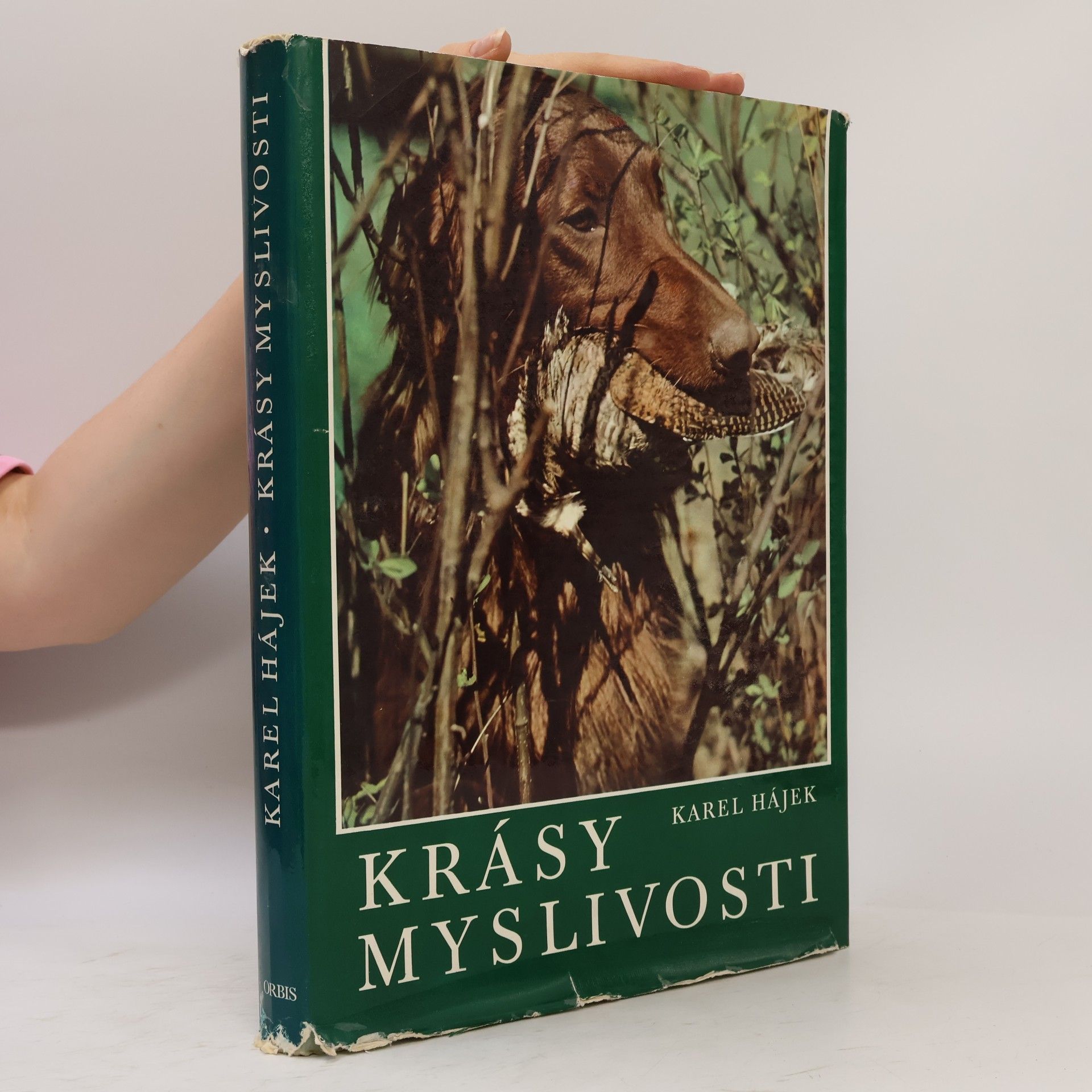 Krásy myslivosti