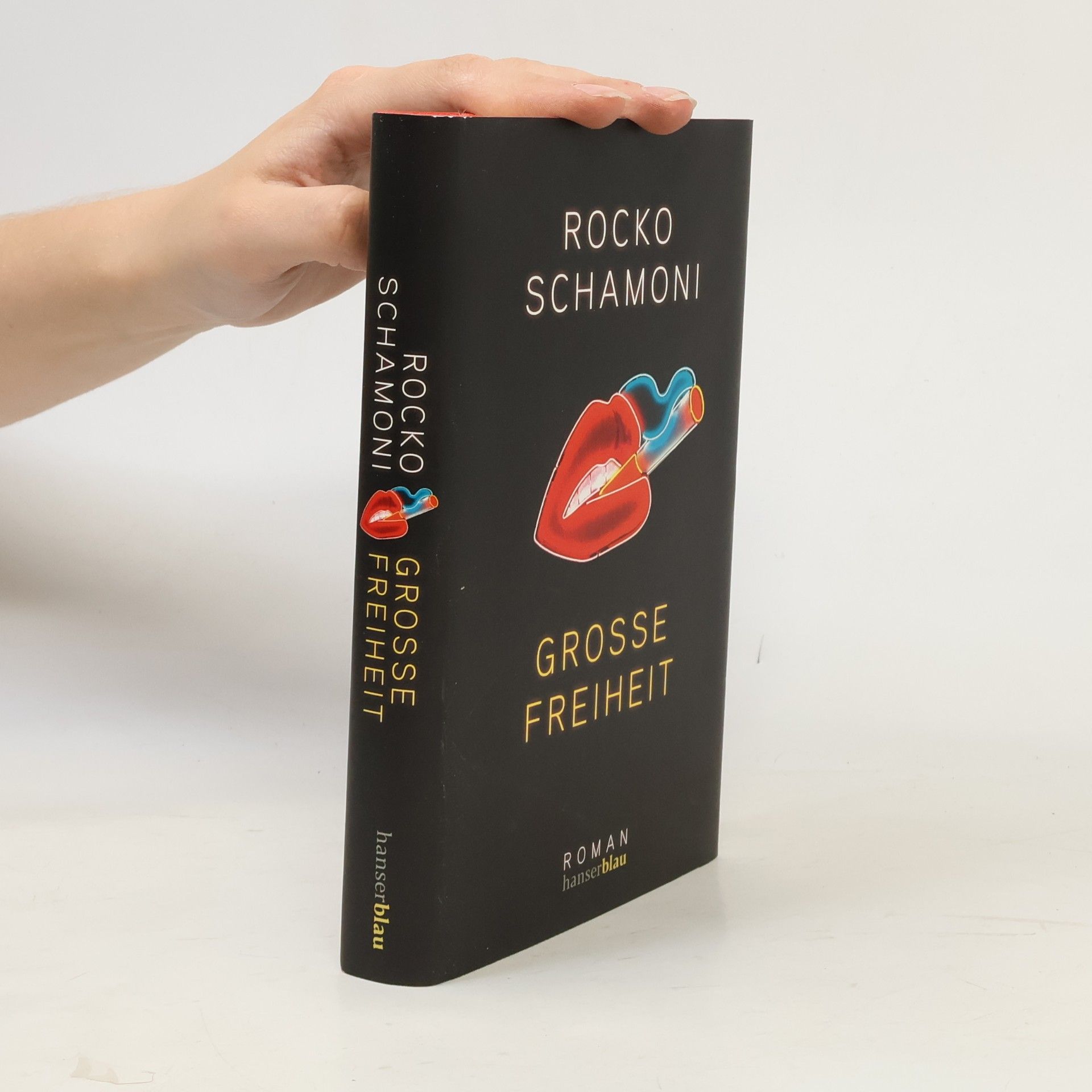 Rocko Schamoni Grosse Freiheit