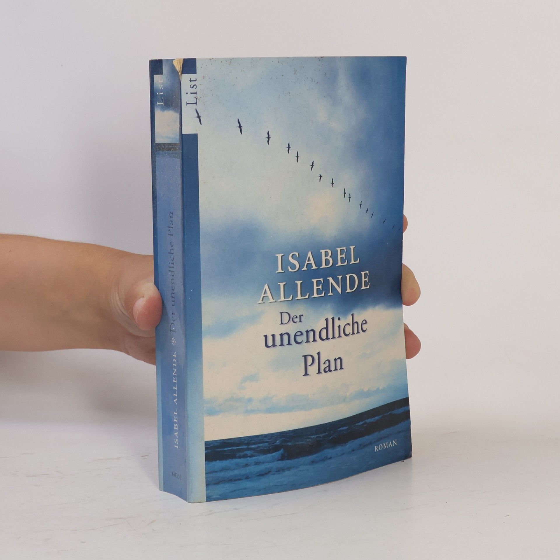 Isabel Allende Der unendliche Plan