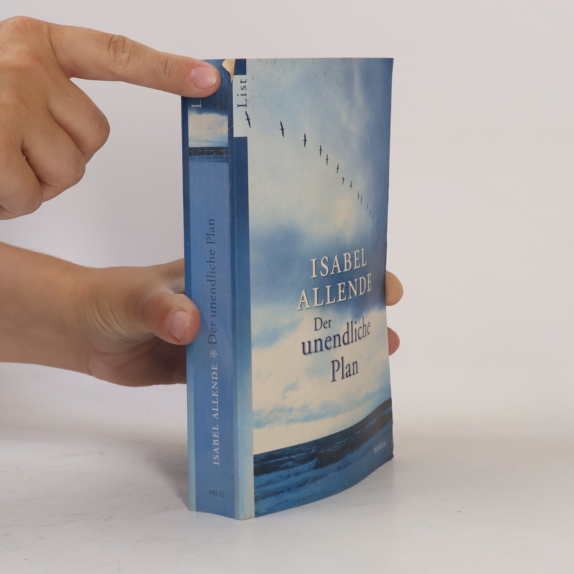 Isabel Allende Der unendliche Plan