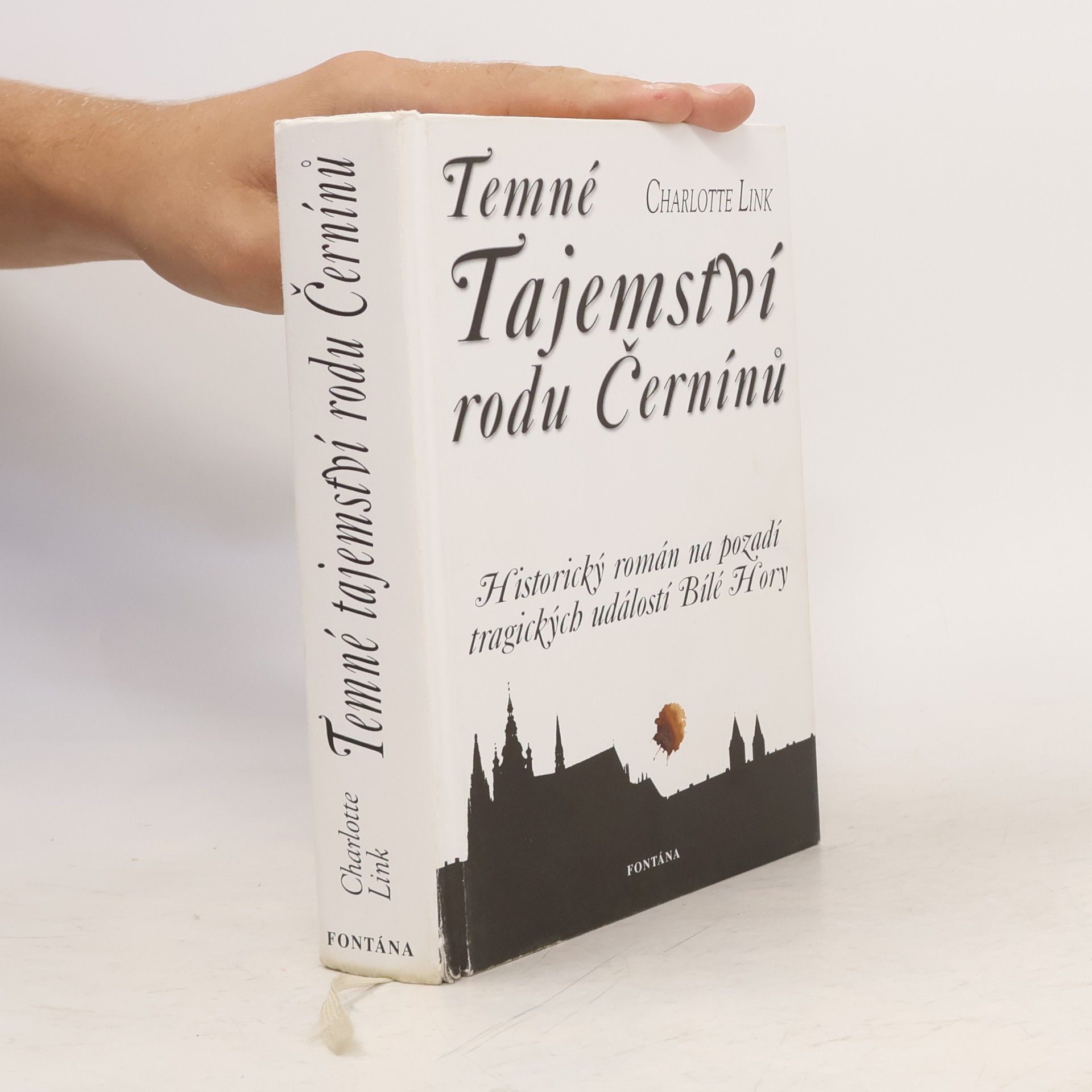 Charlotte Link Temné tajemství rodu Černínů