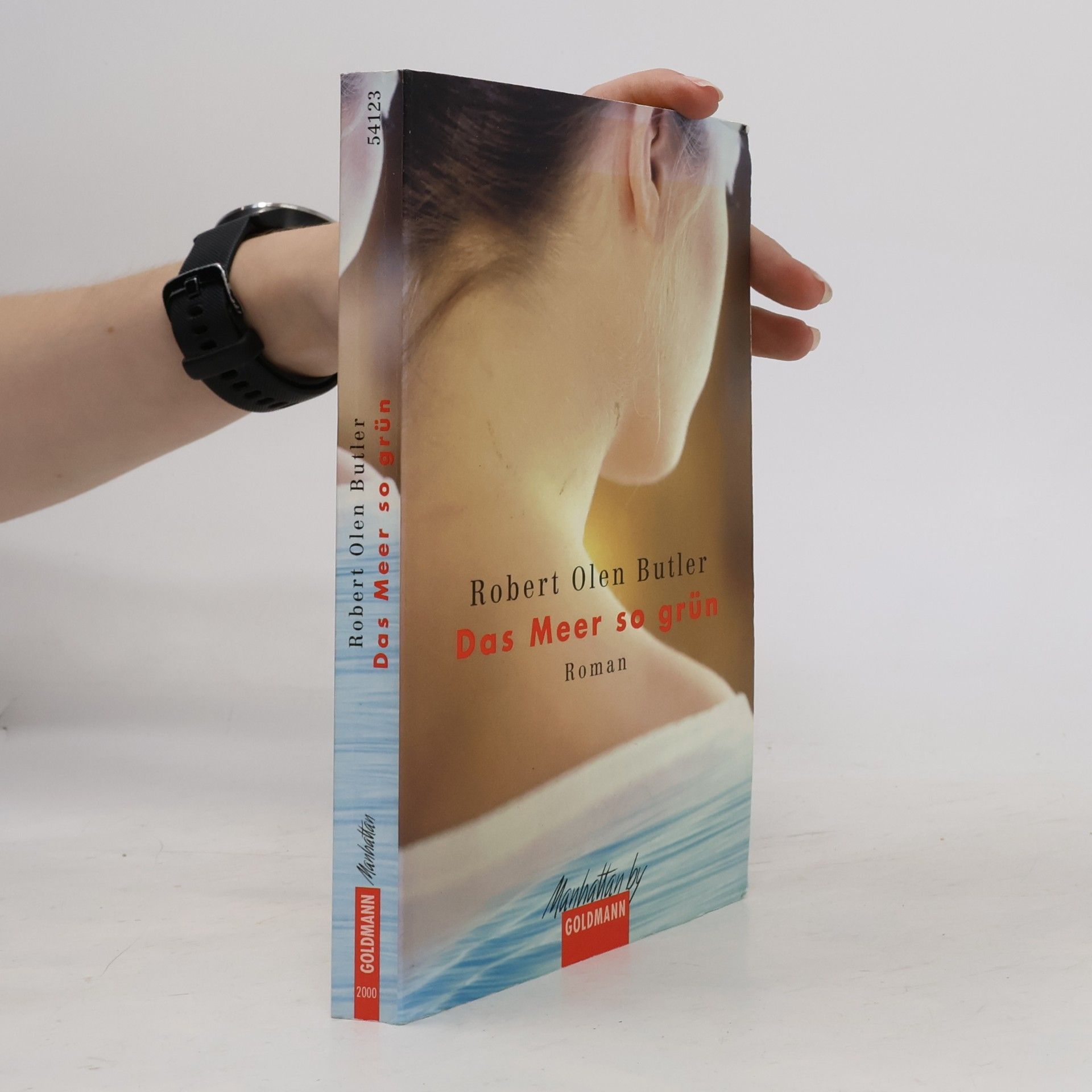 Robert Olen Butler Das Meer so grün