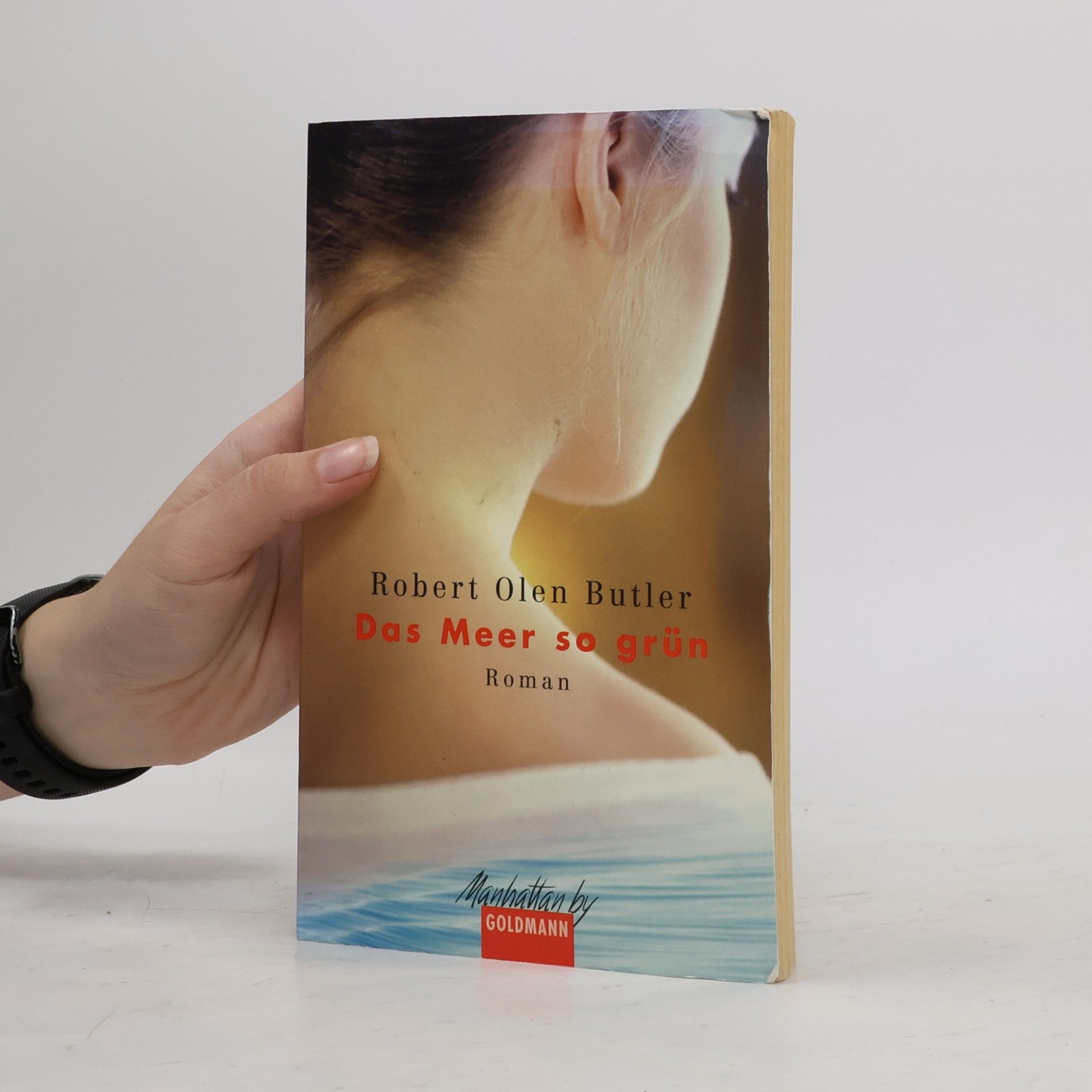 Robert Olen Butler Das Meer so grün