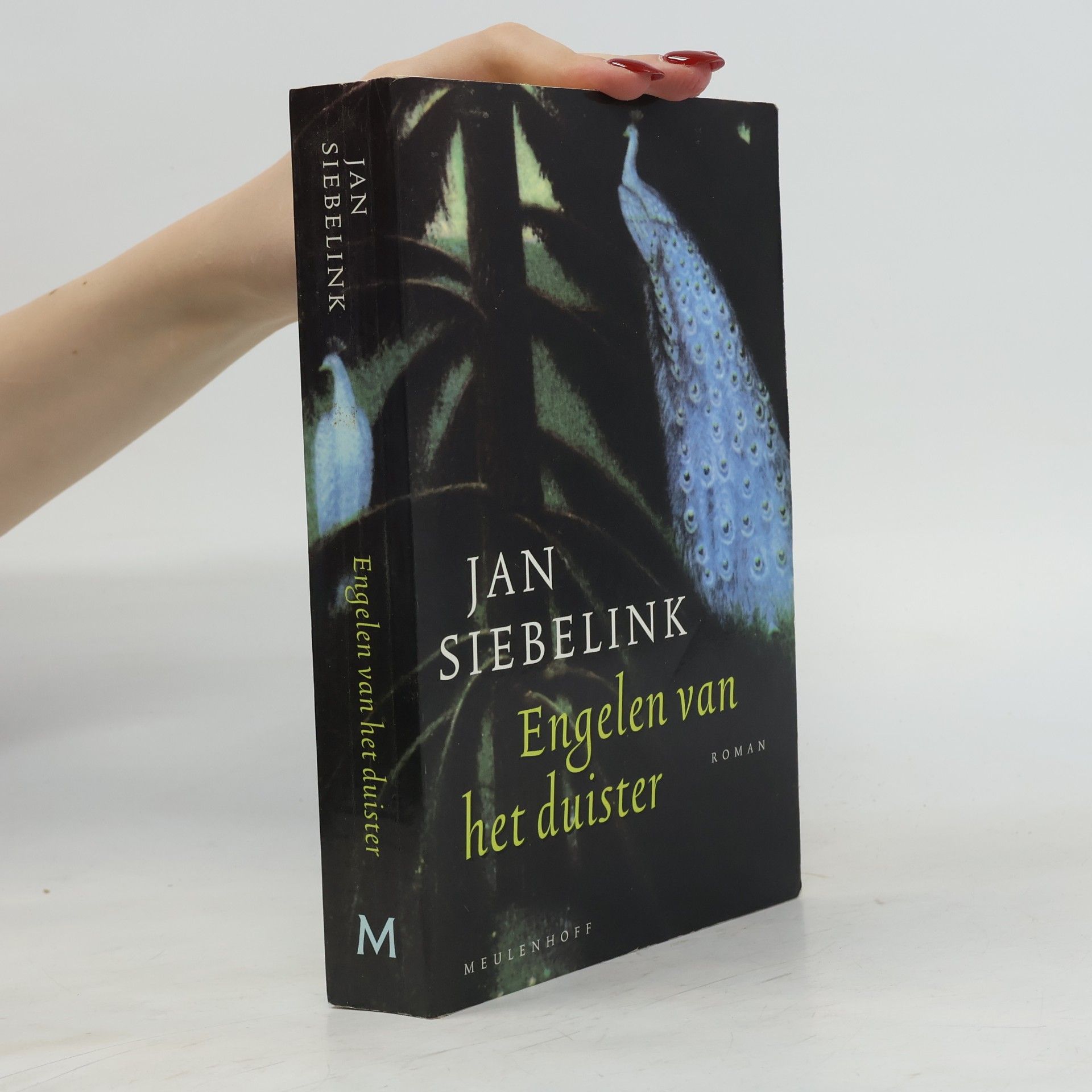 Jan Geurt Siebelink Engelen van het duister