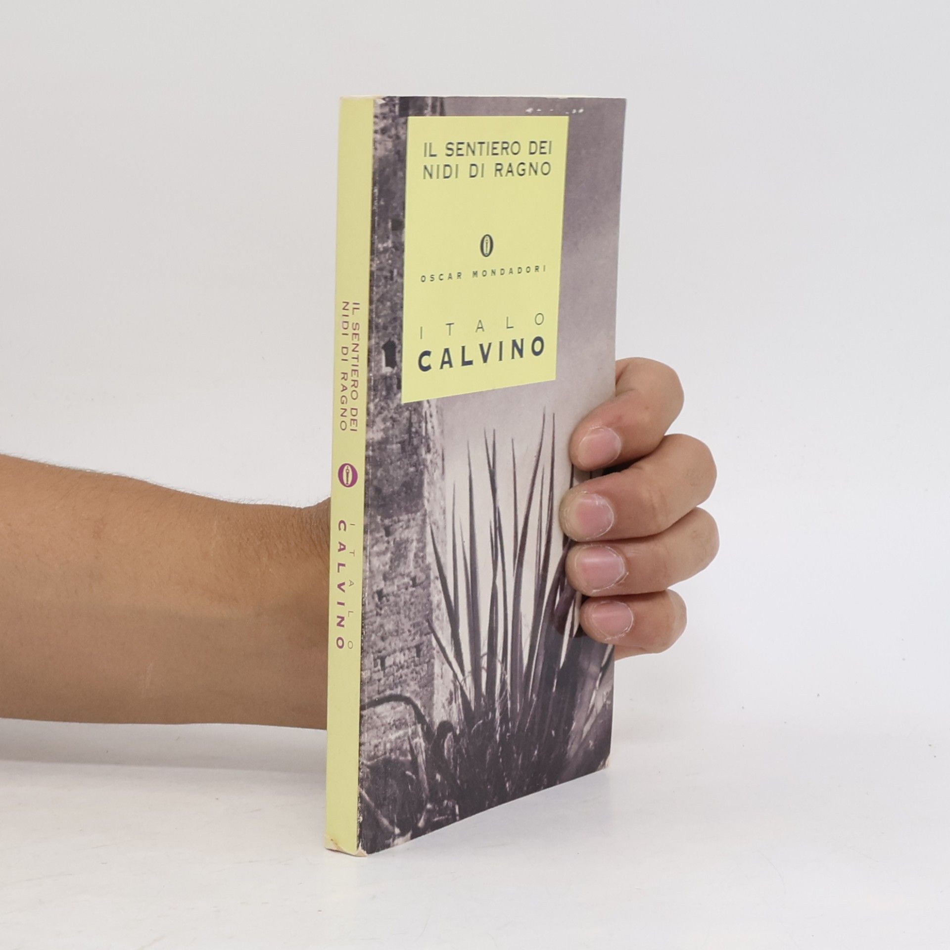 Italo Calvino Il sentiero dei nidi di ragno