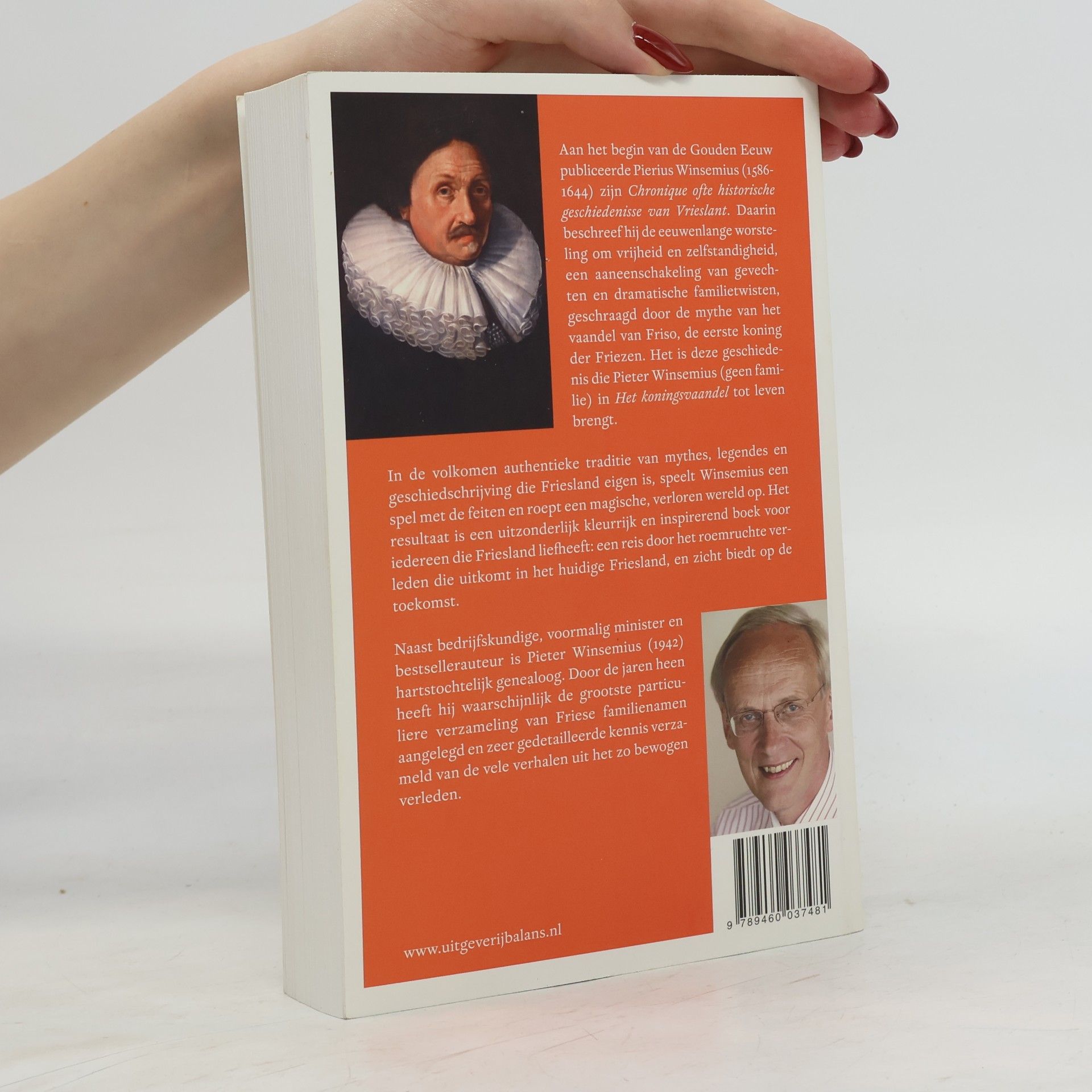 Pieter Winsemius Het Koningsvaandel