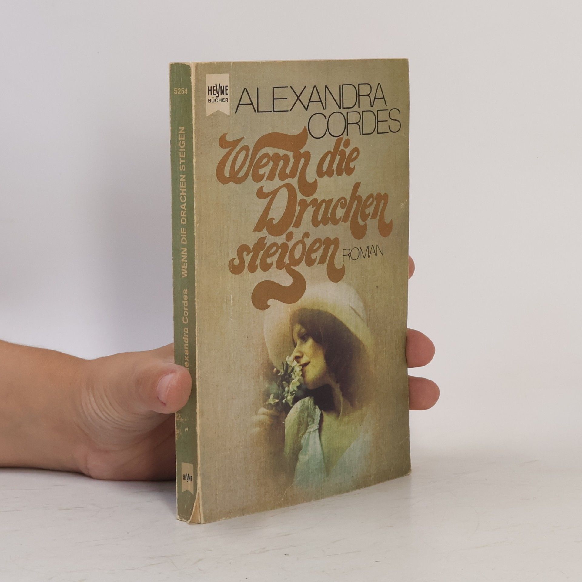 Alexandra Cordes Wenn die Drachen steigen