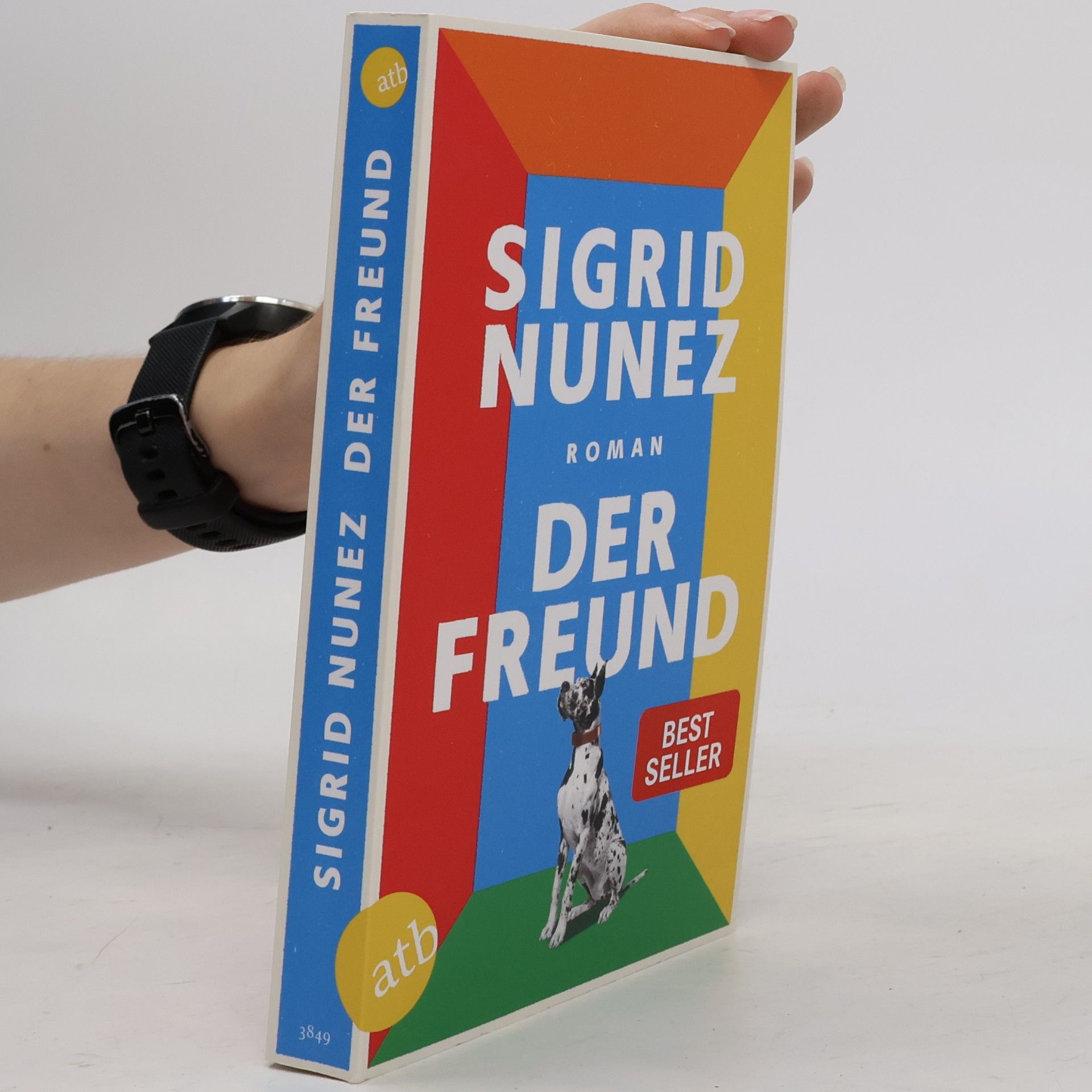 Sigrid Nunez Der Freund