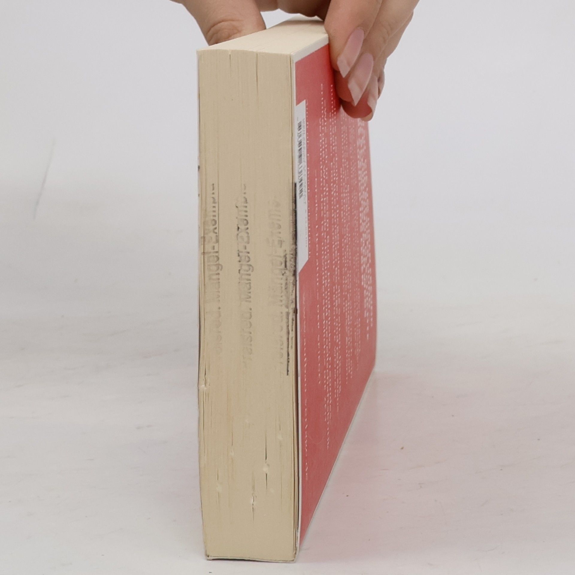 Sigrid Nunez Der Freund