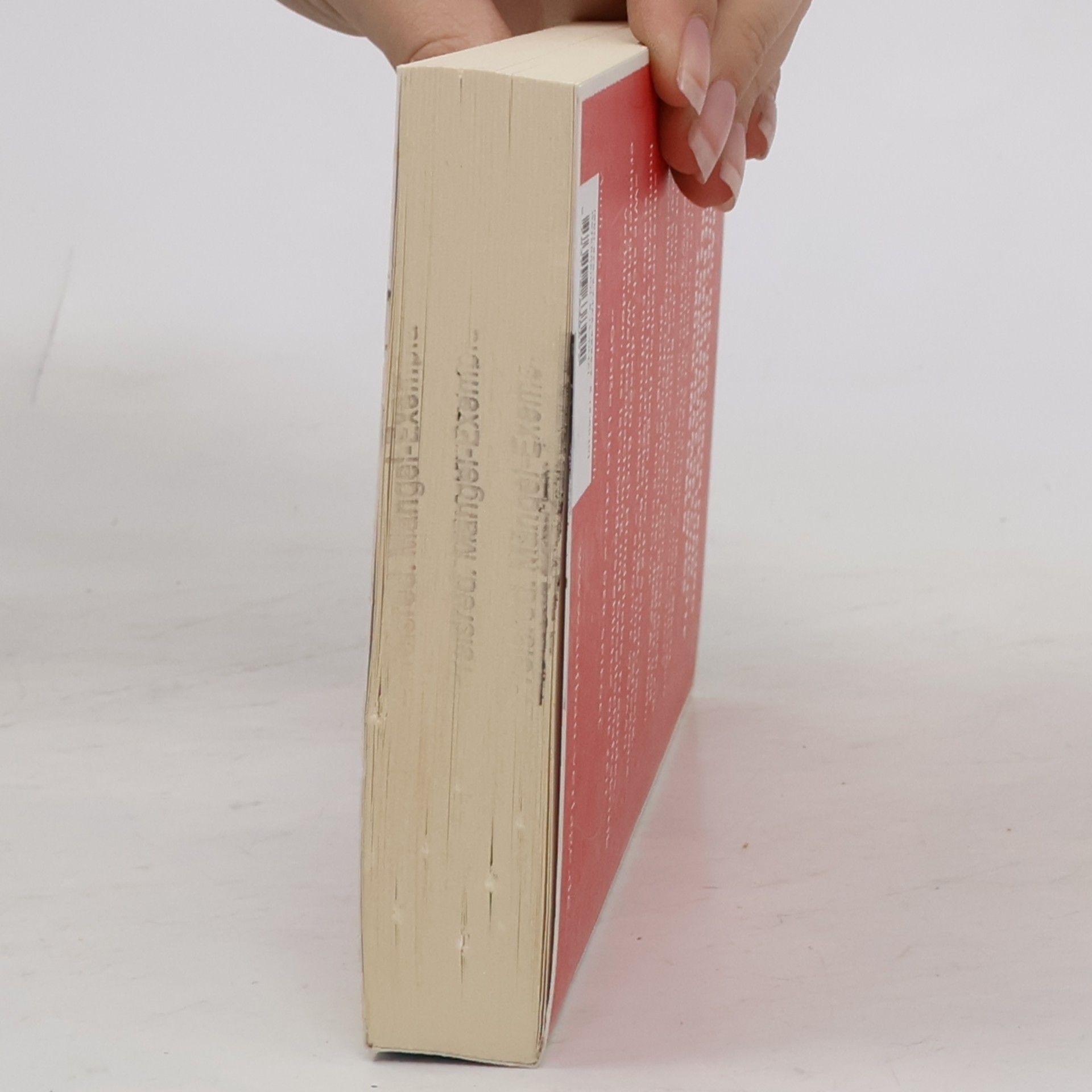 Sigrid Nunez Der Freund