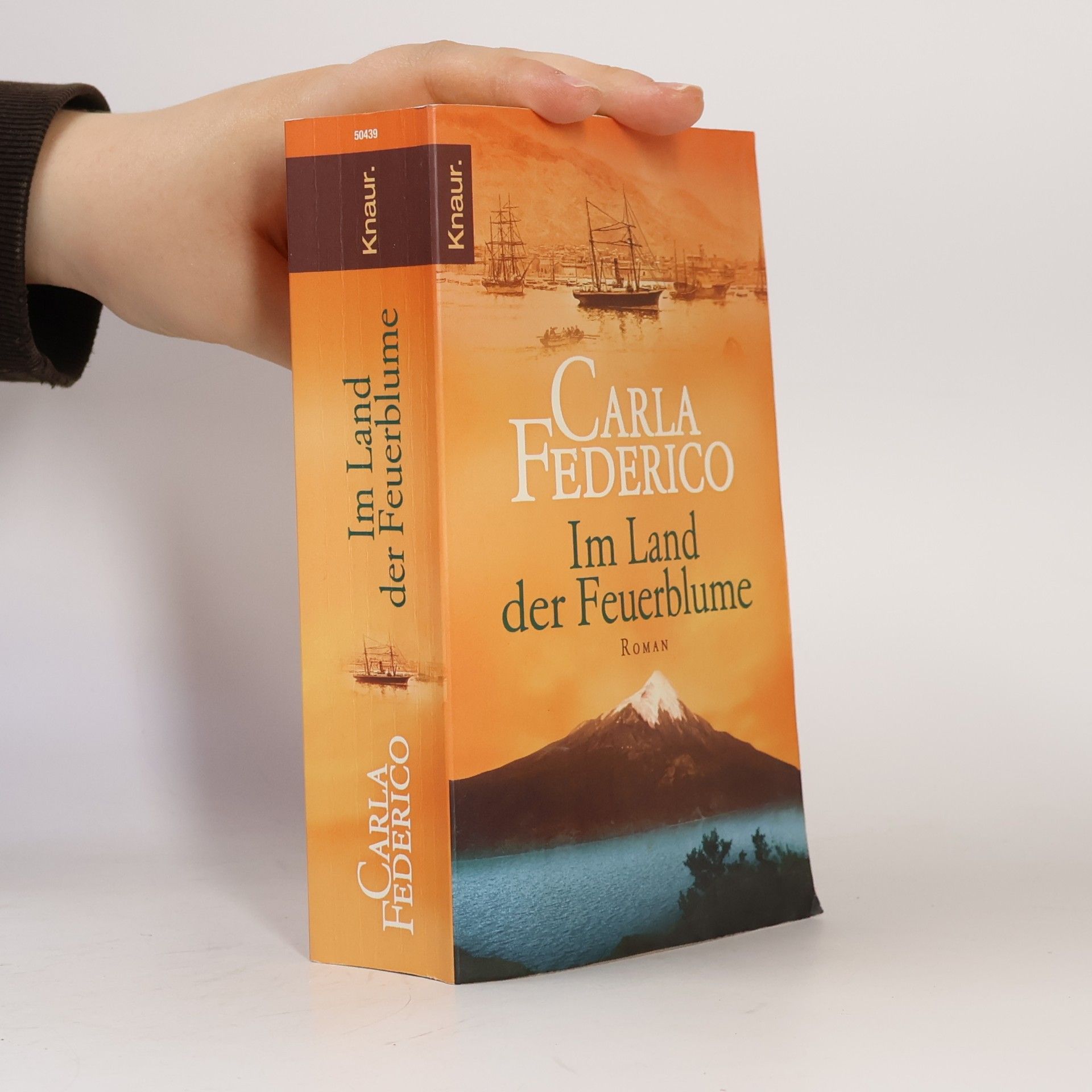 Carla Federico Im Land der Feuerblume