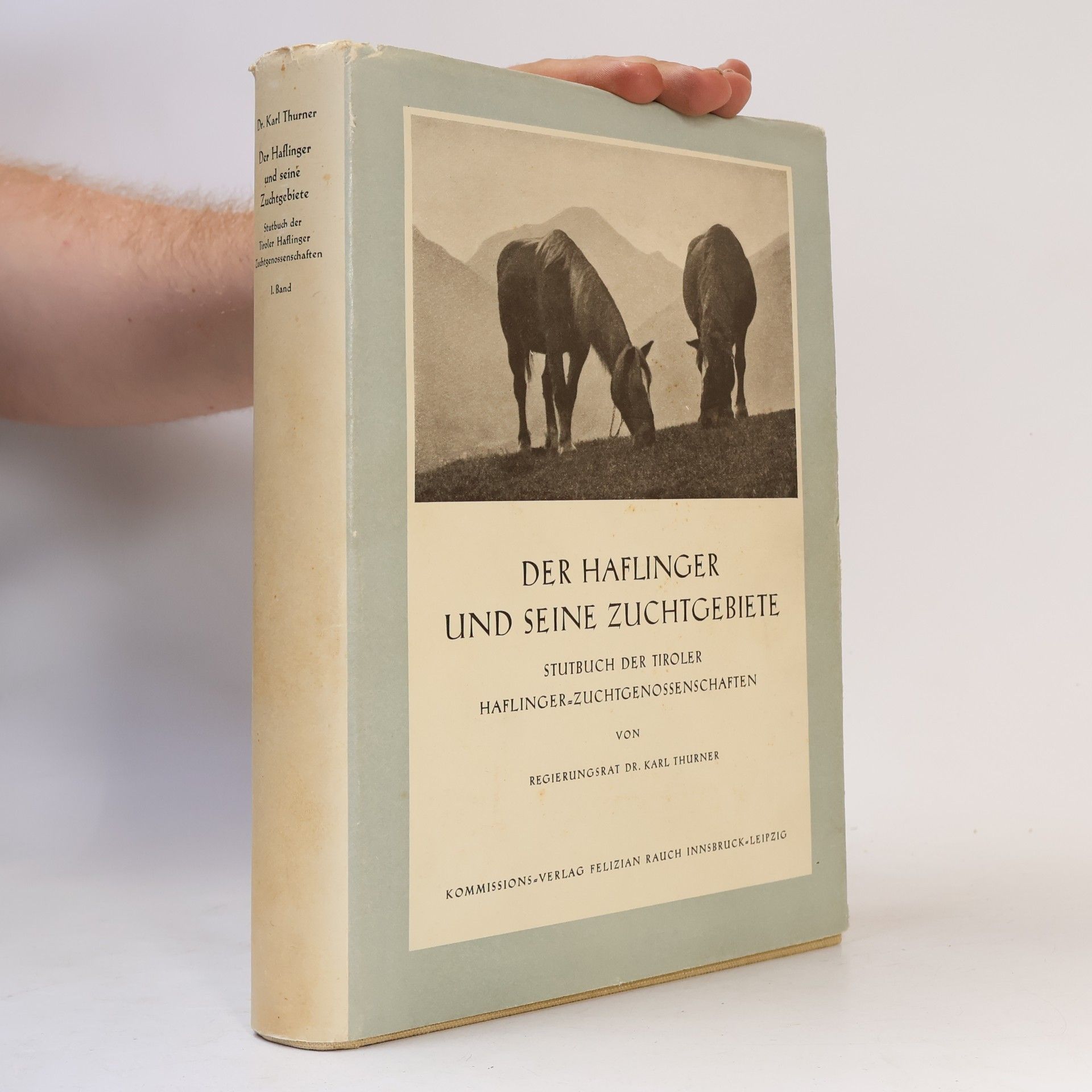 kolektiv Der Haflinger und seine Zuchtgebiete 1