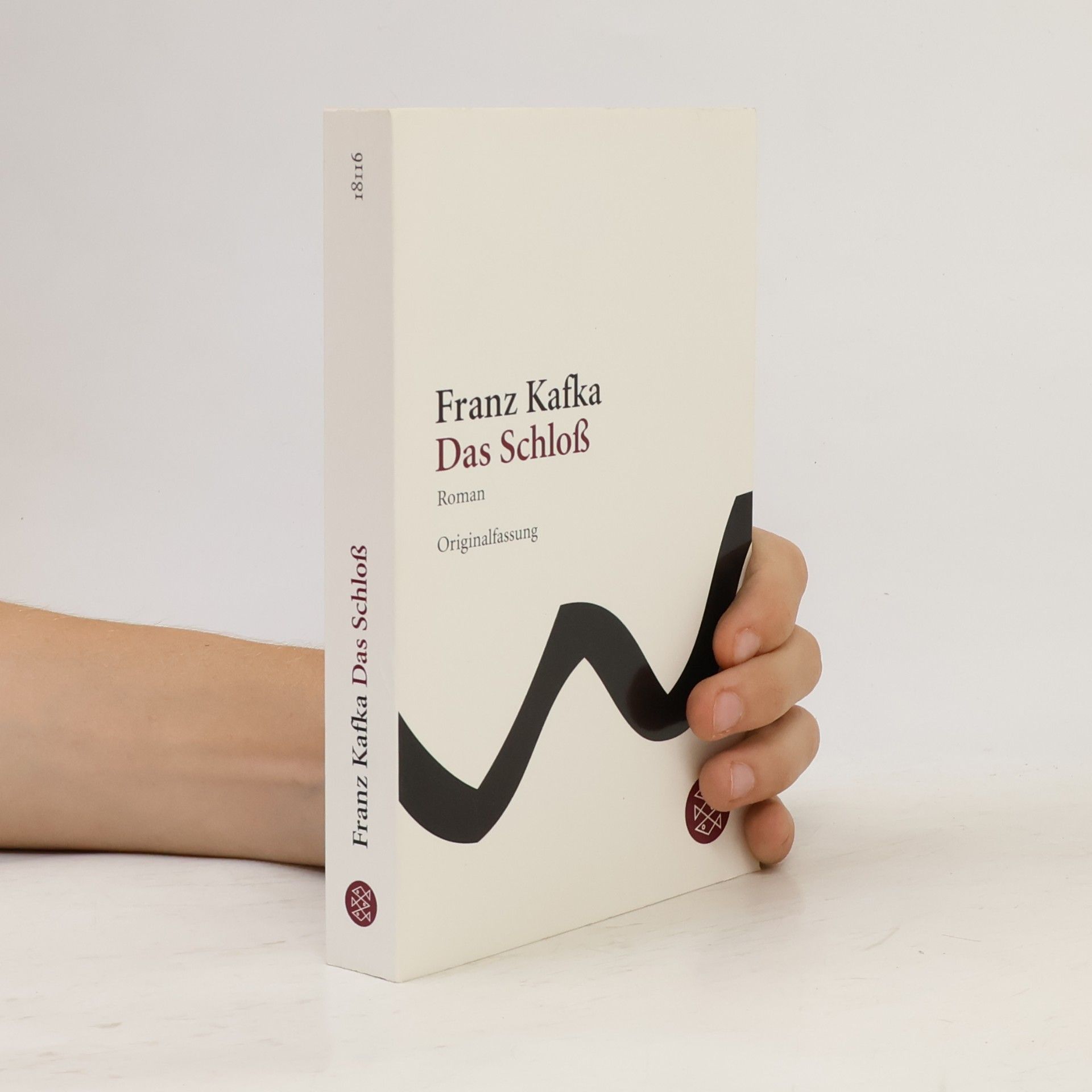 Franz Kafka Das Schloss