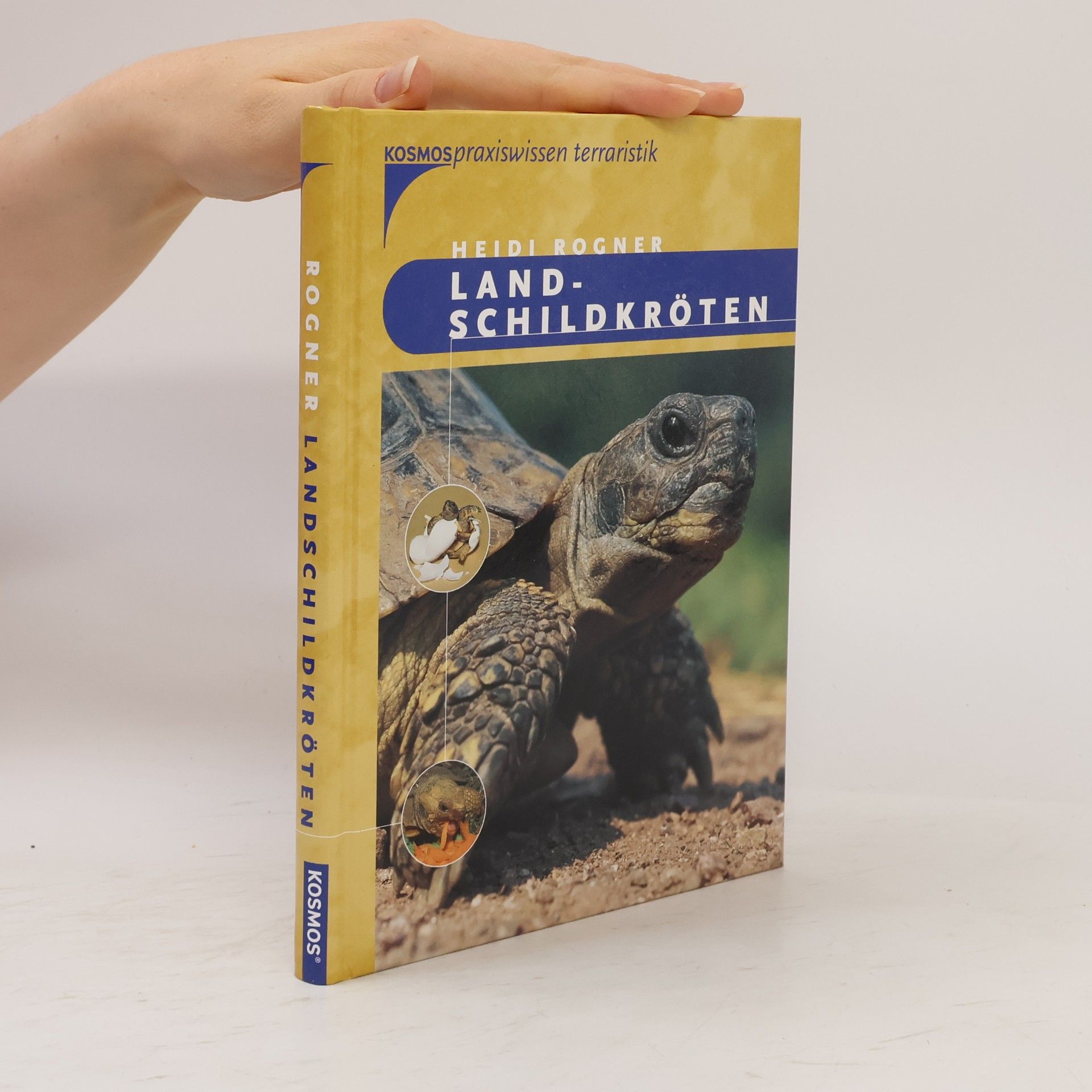 Landschildkröten