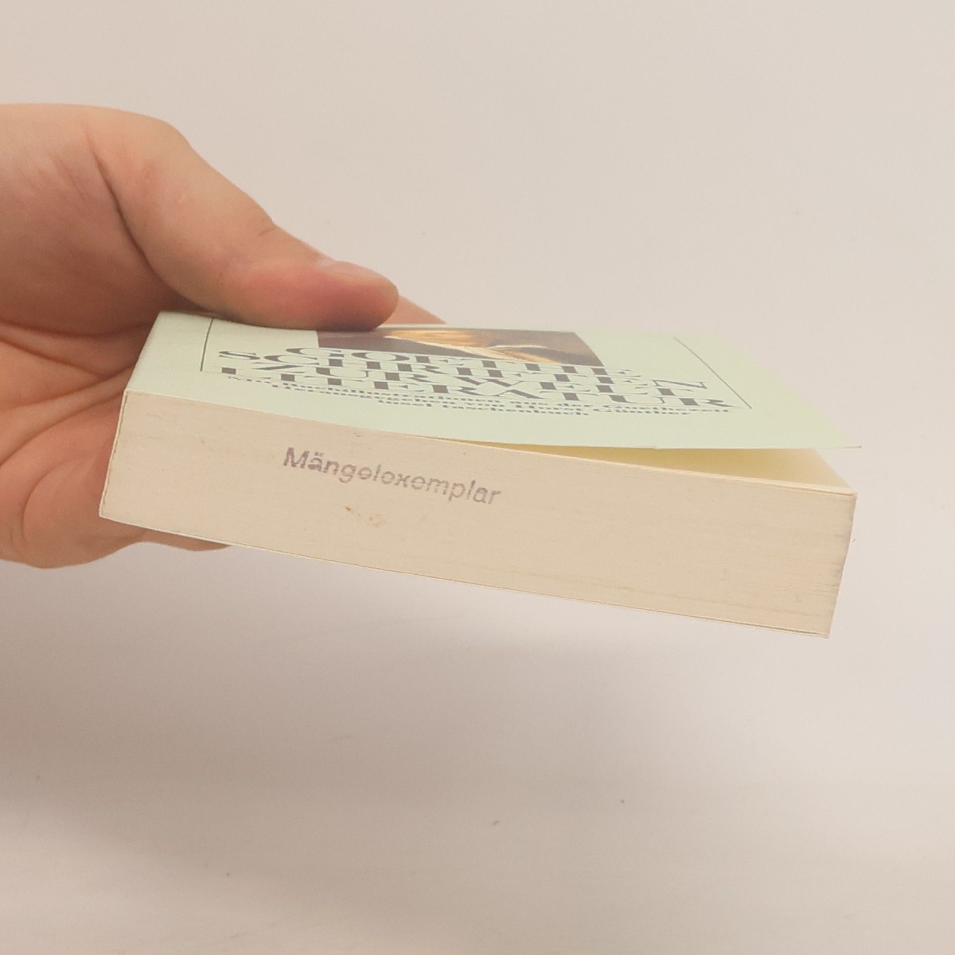 Johann Wolfgang von Goethe Schriften zur Weltliteratur