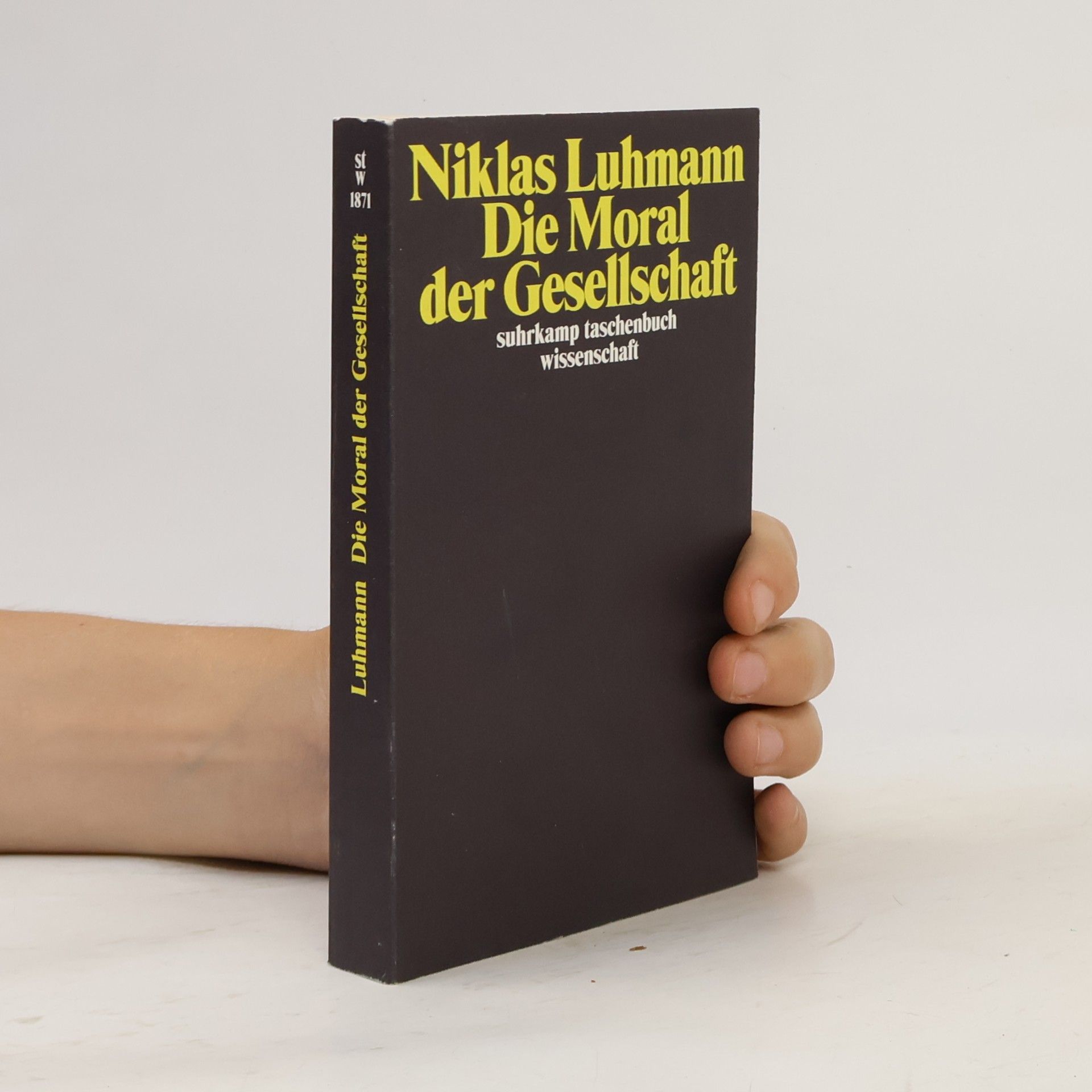 Niklas Luhmann Die Moral der Gesellschaft