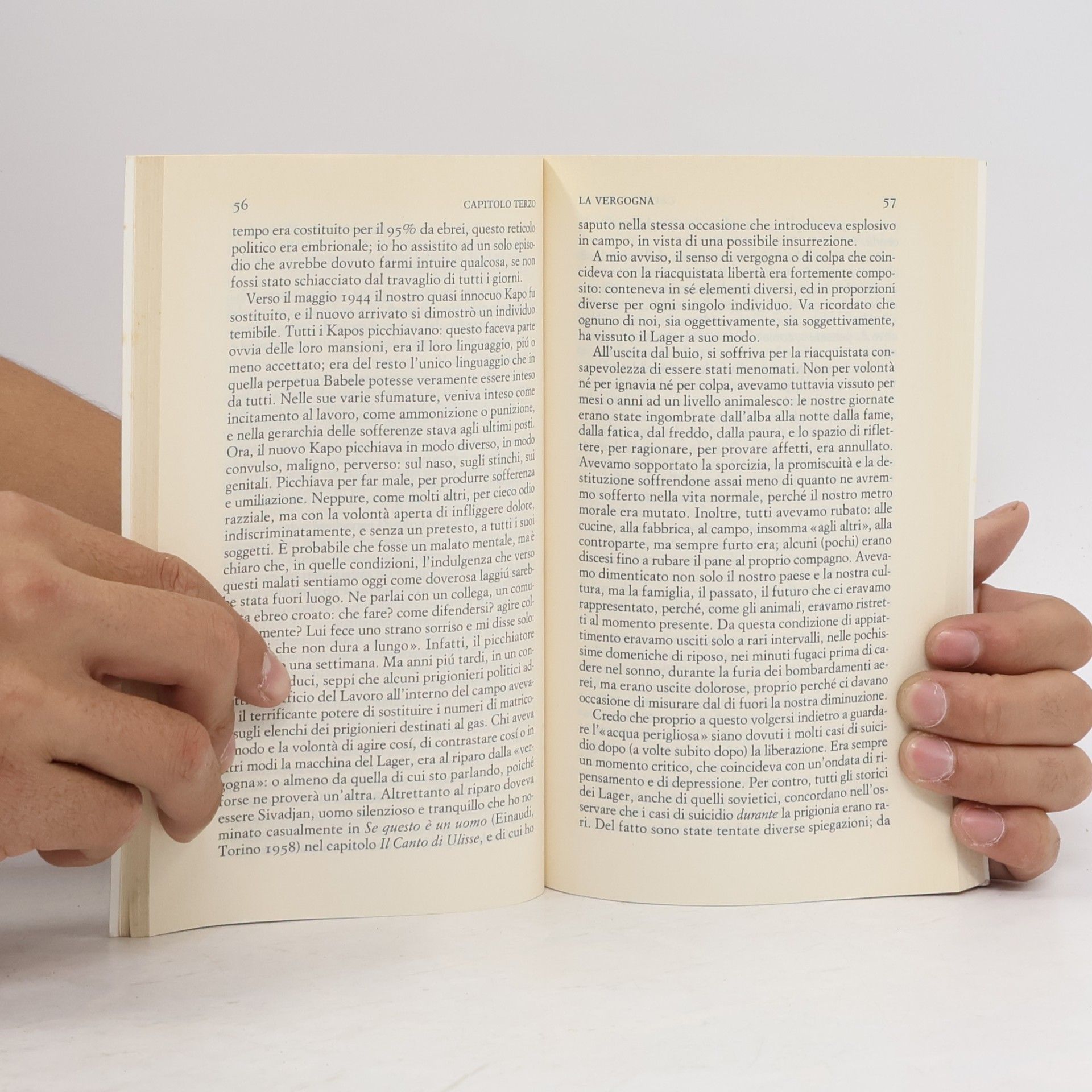 Primo Levi I sommersi e i salvati