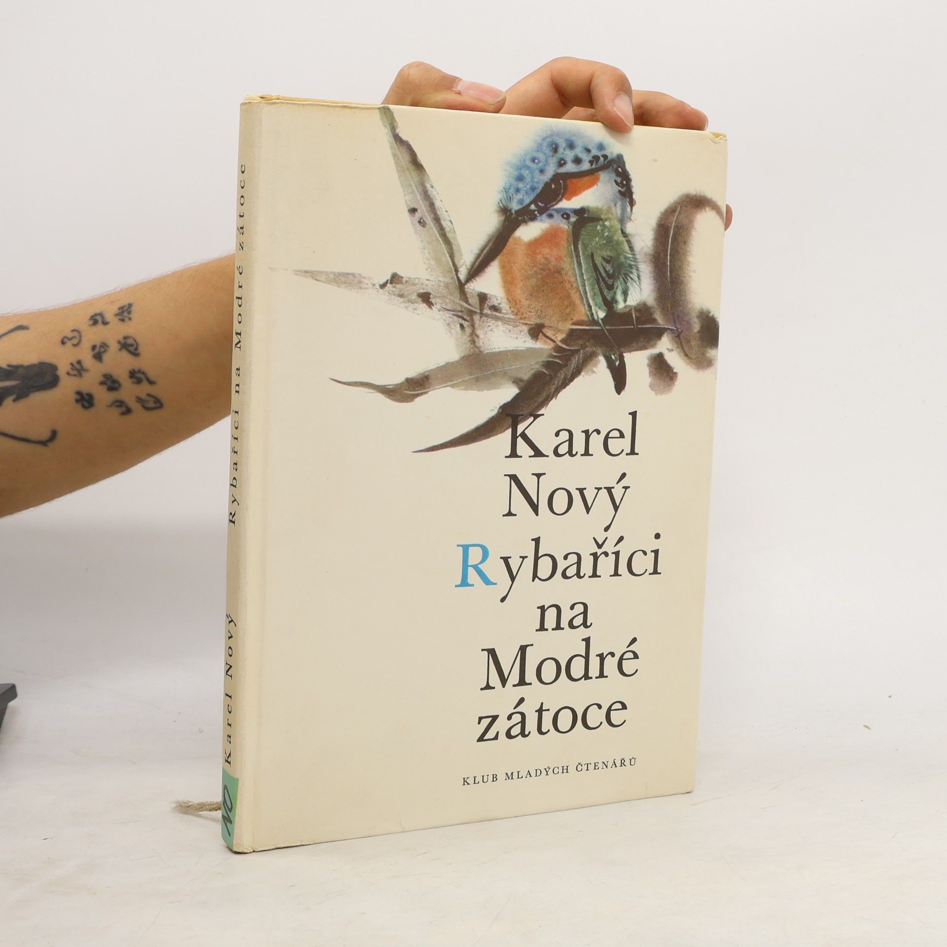 Karel Nový Rybaříci na Modré zátoce