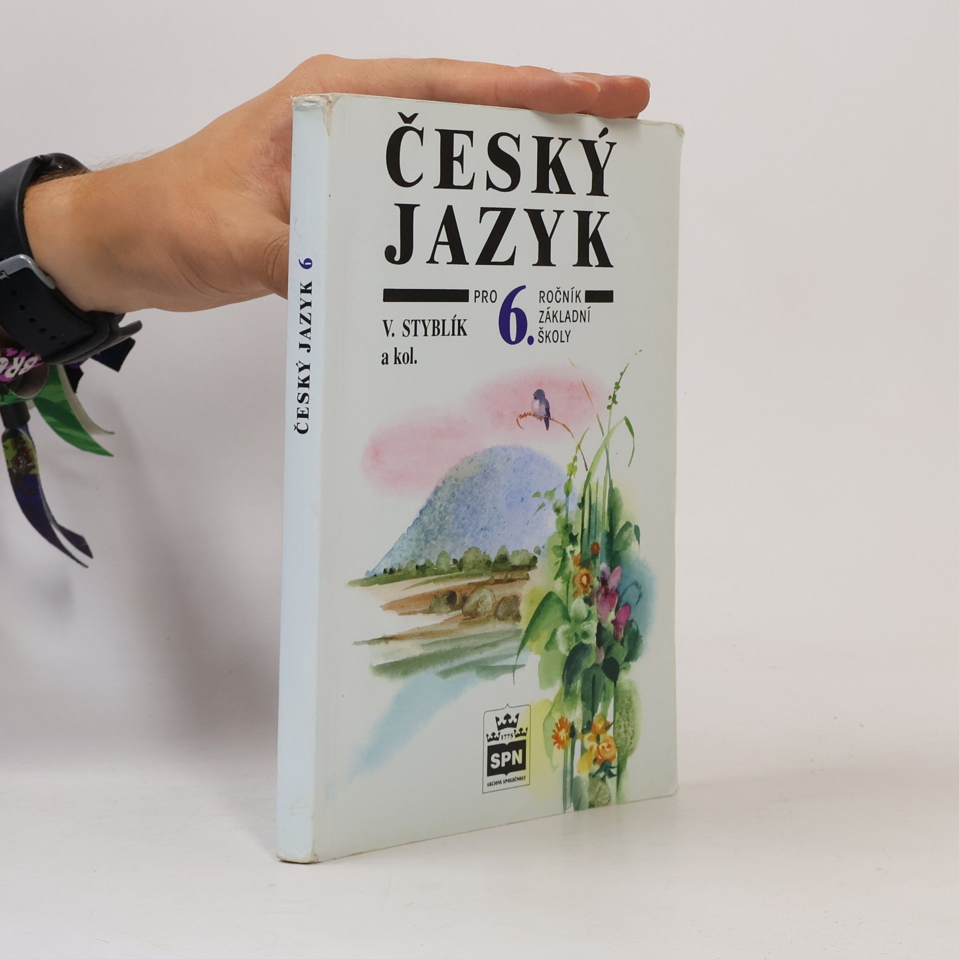 Vlastimil Styblík Český jazyk pro 6. ročník základní školy