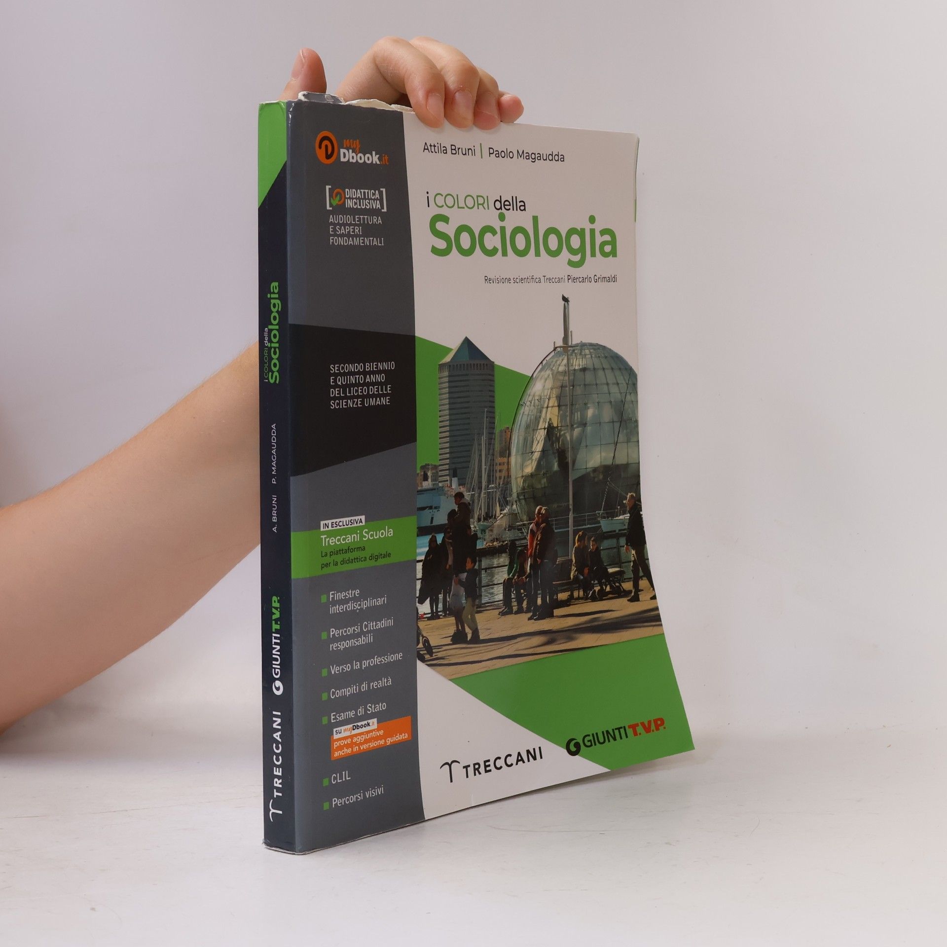 Piercarlo Grimaldi I colori della sociologia
