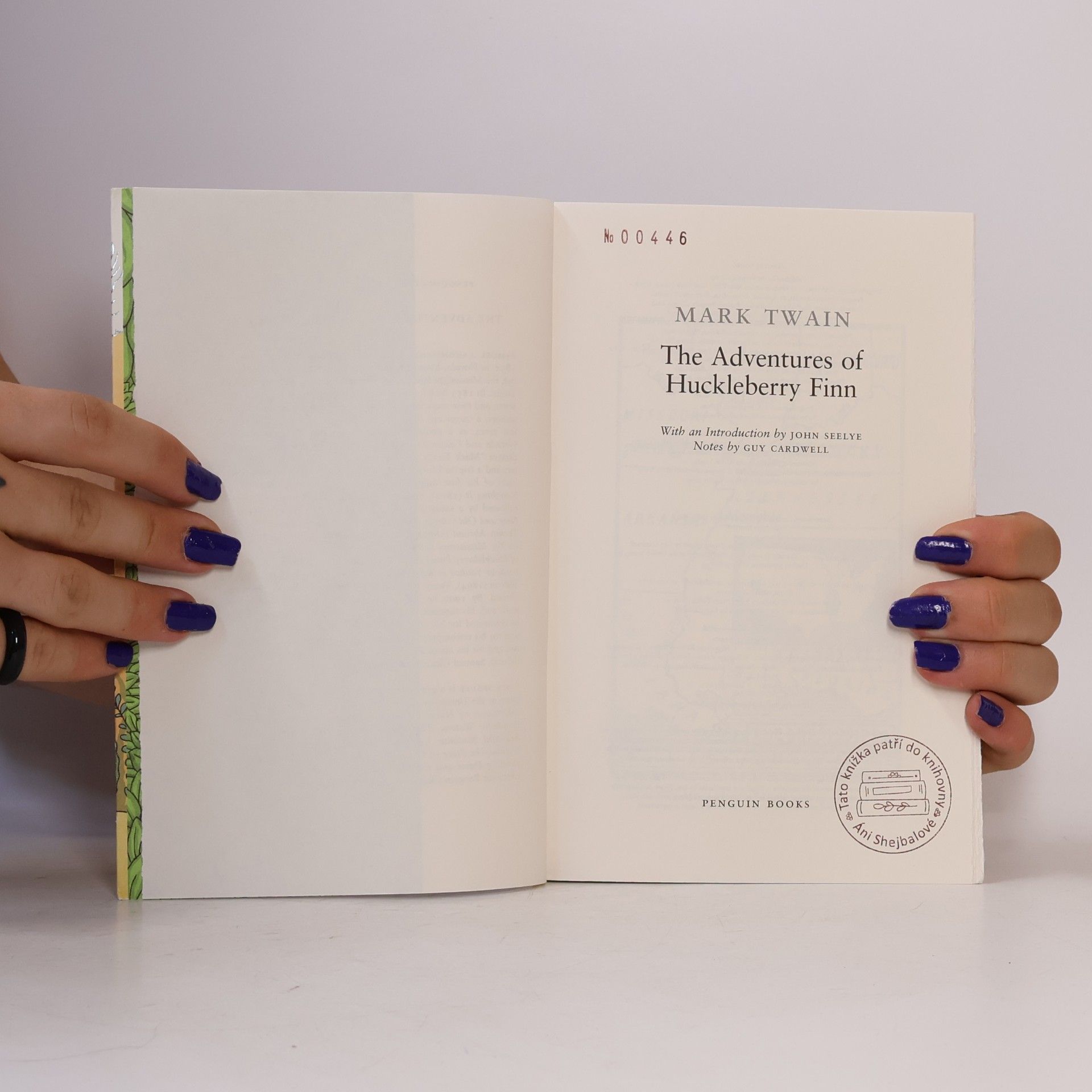 Mark Twain The Adventures of Huckleberry Finn