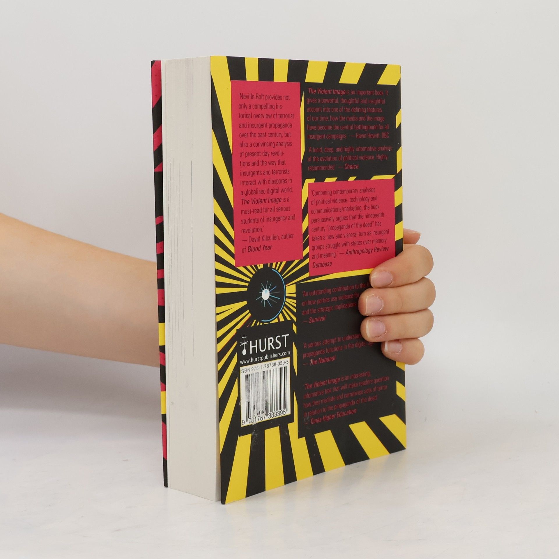 Neville Bolt The Violent Image