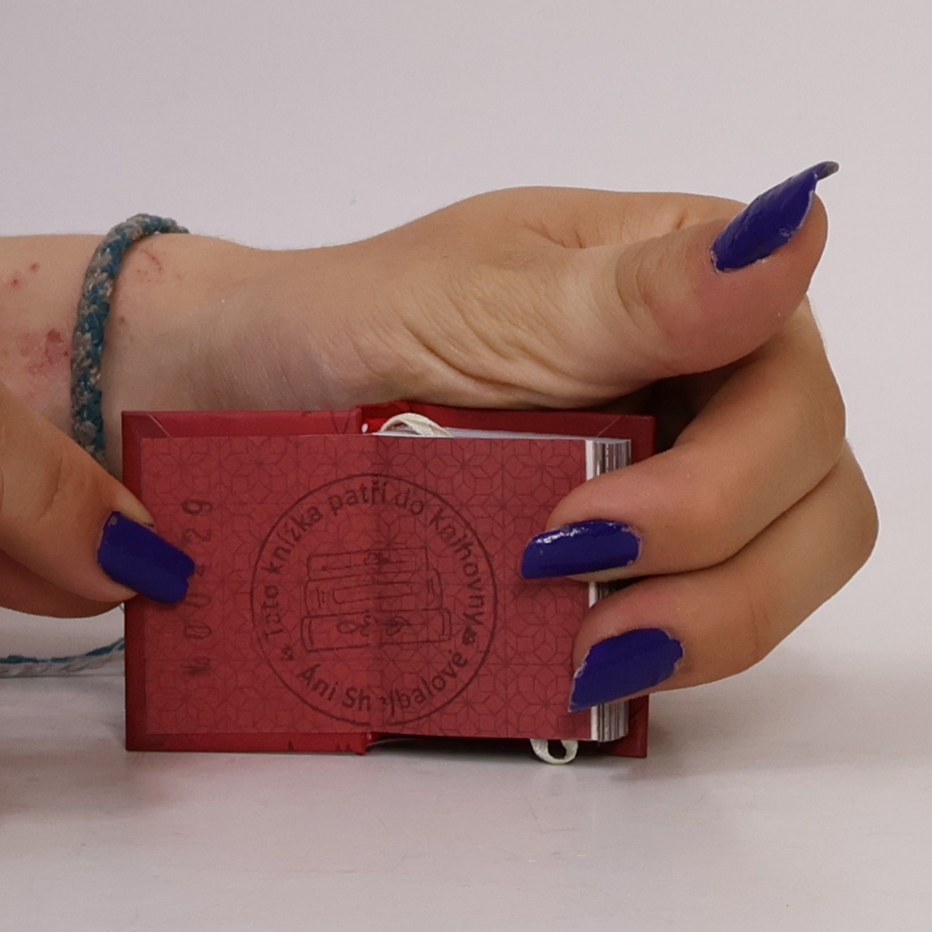 Autorenkollektiv Harry Potter. Gryffindor (Tiny Book)