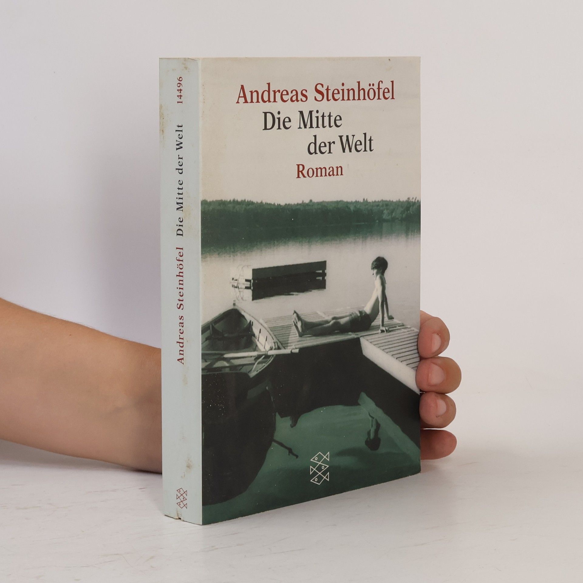 Andreas Steinhöfel Die Mitte der Welt