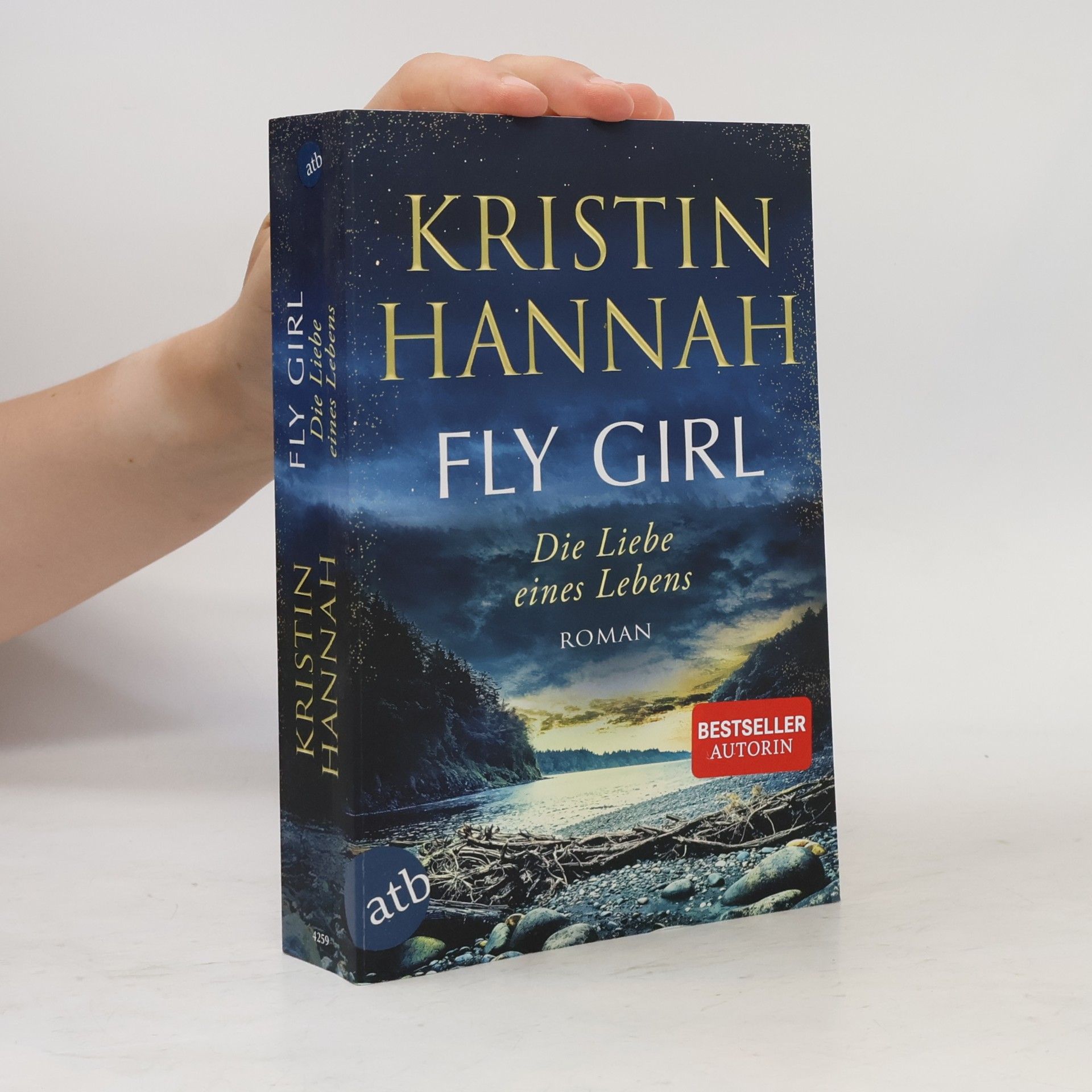 Kristin Hannah Fly Girl – Die Liebe eines Lebens