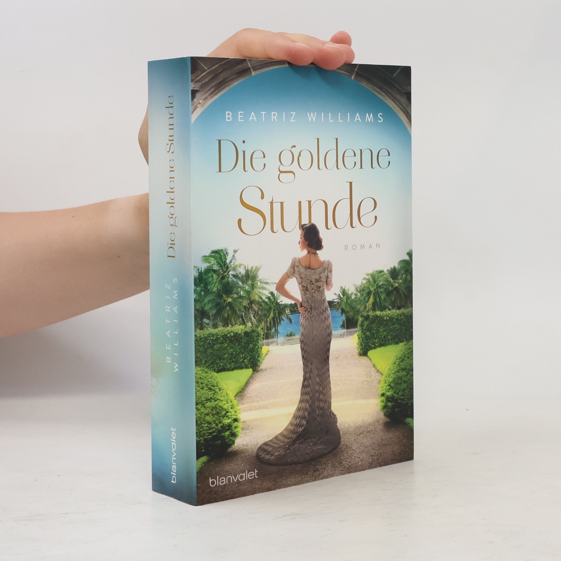 Beatriz Williams Die goldene Stunde