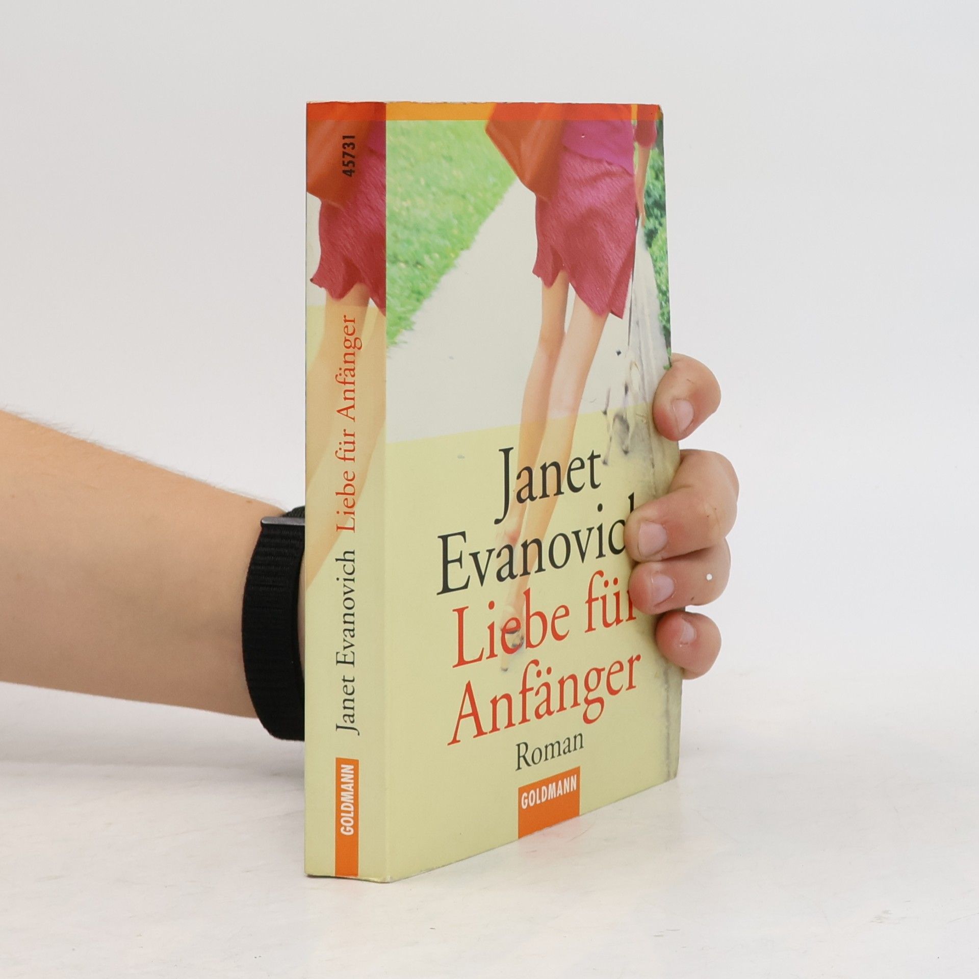 Janet Evanovich Liebe für Anfänger