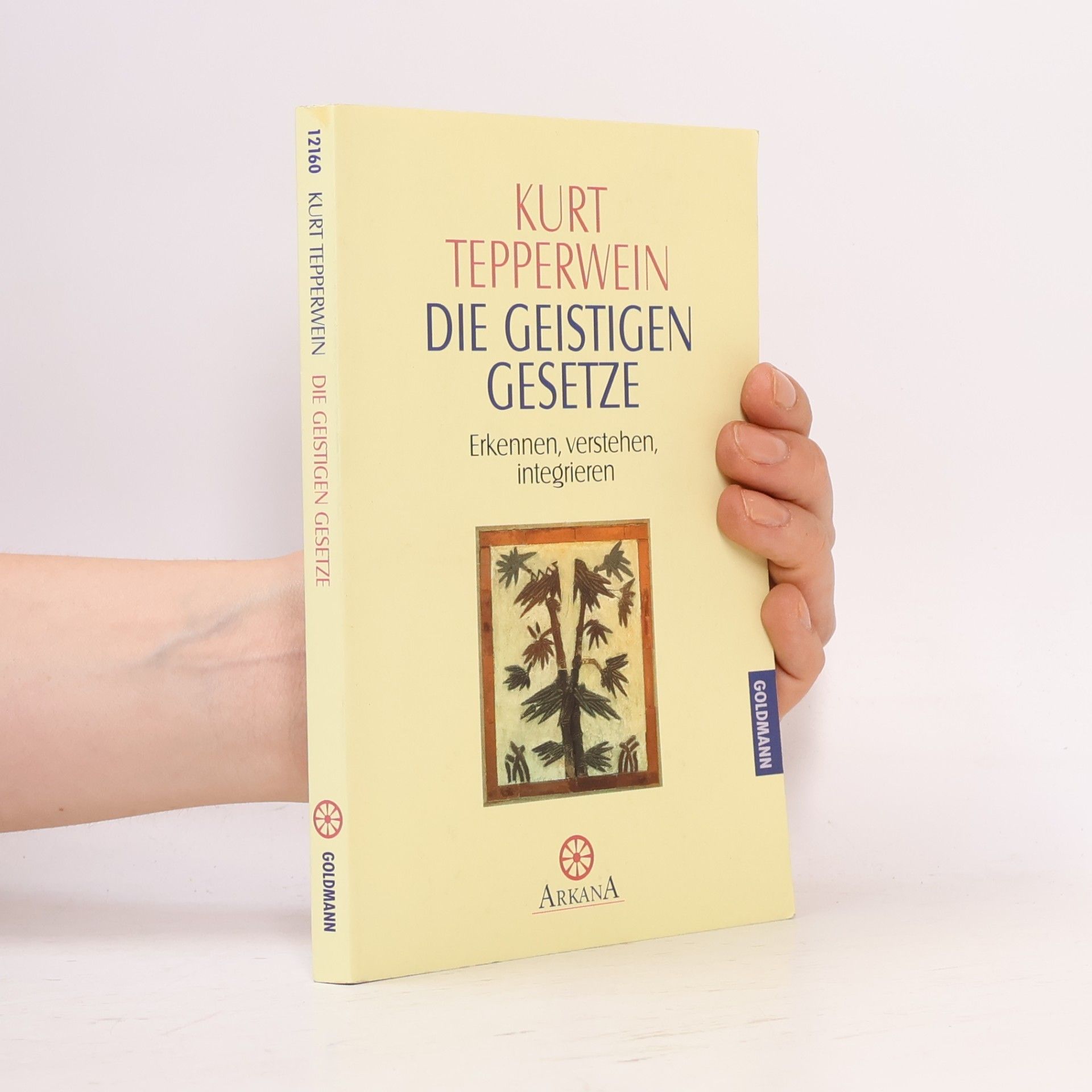 Kurt Tepperwein Die Geistigen Gesetze