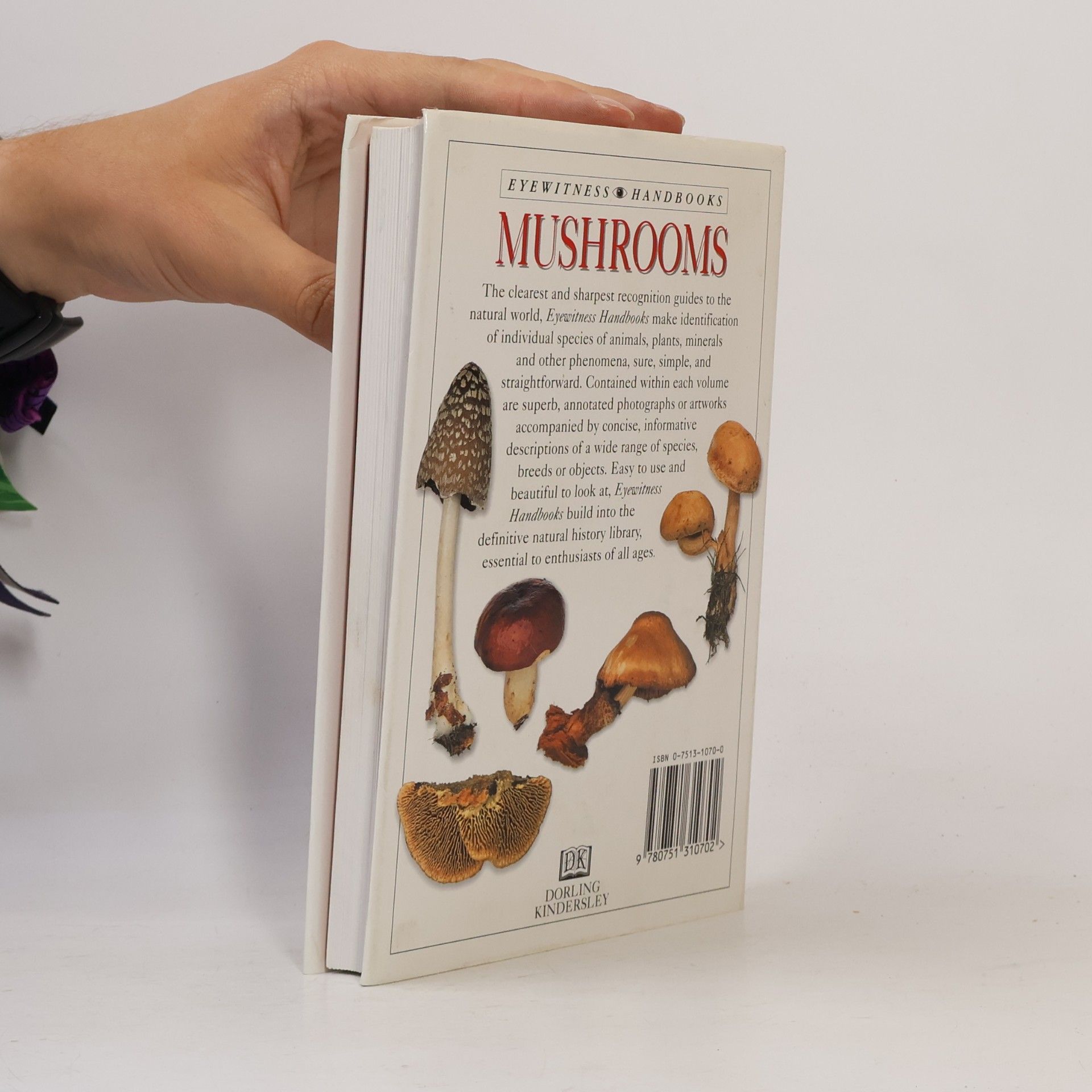 Thomas Laessoe Mushrooms