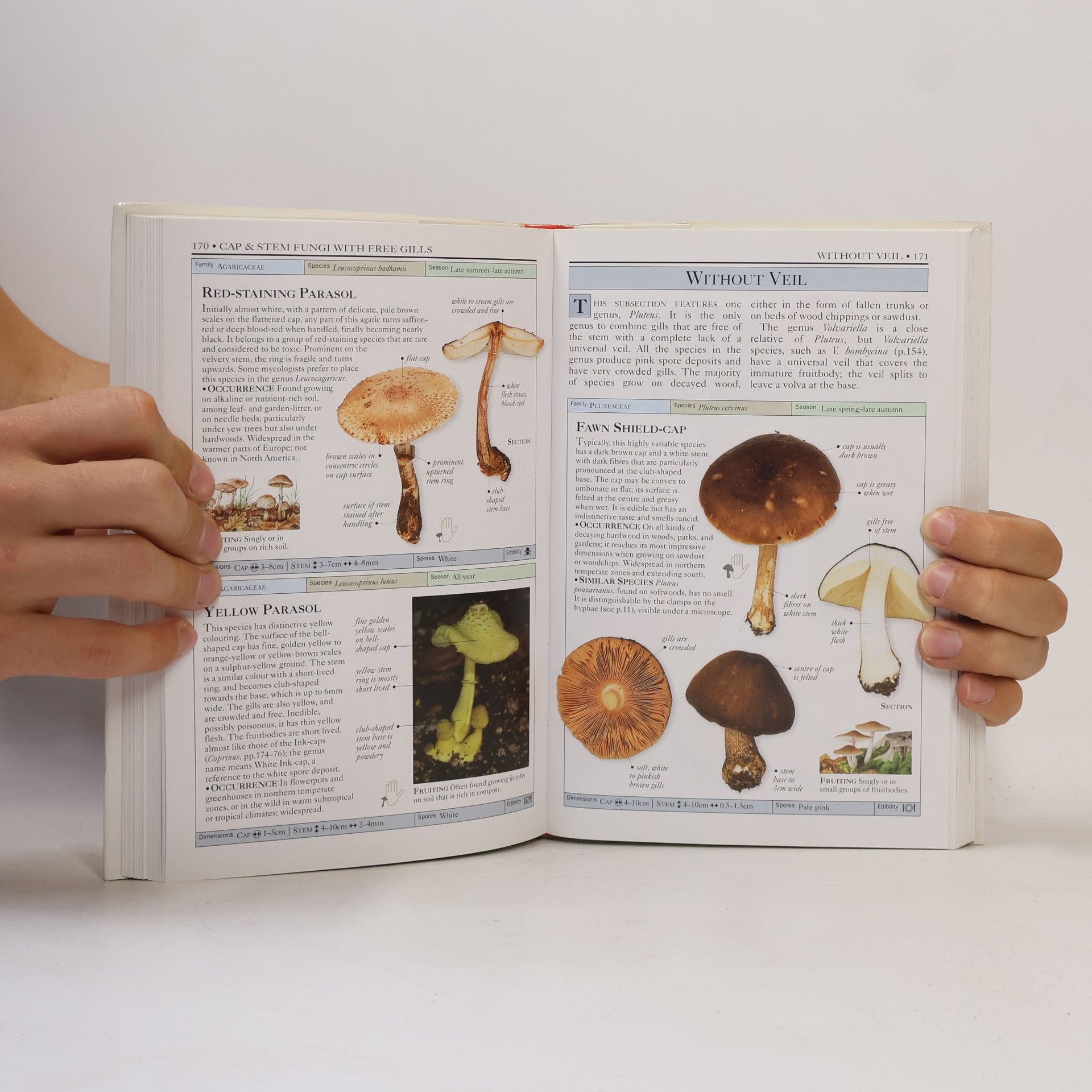 Thomas Laessoe Mushrooms