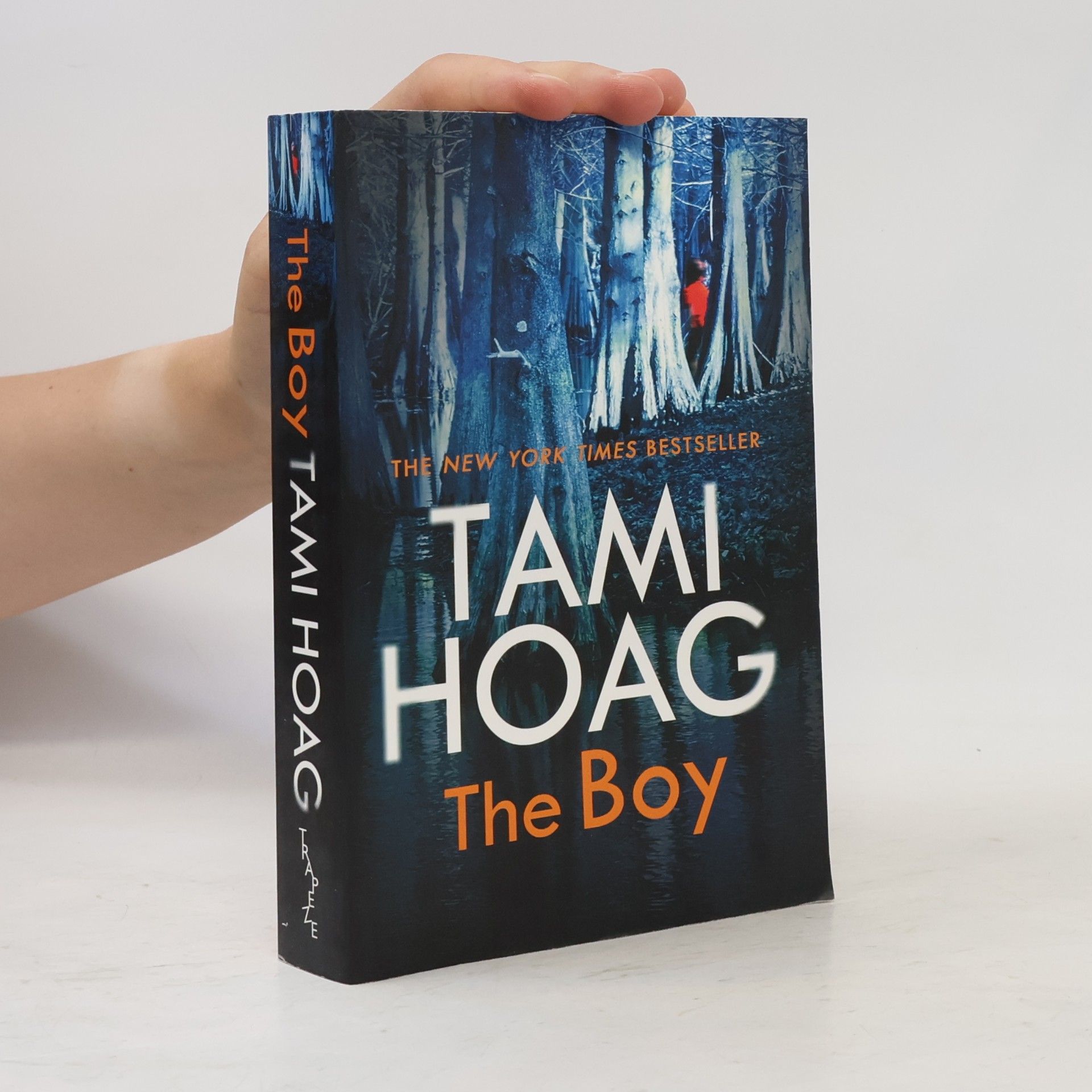 Tami Hoag The Boy