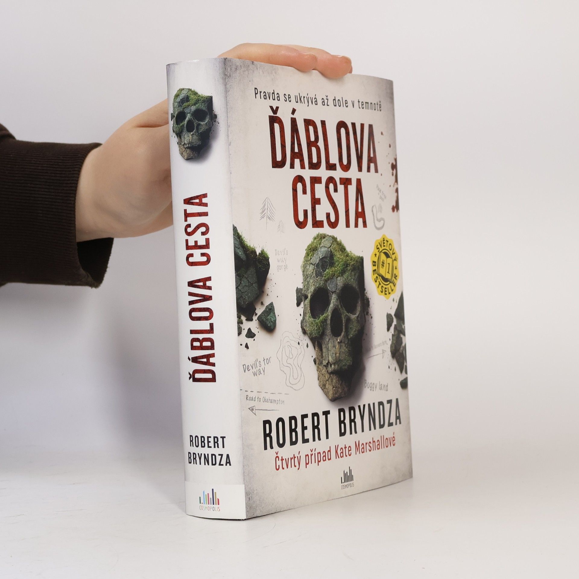 Robert Bryndza Ďáblova cesta
