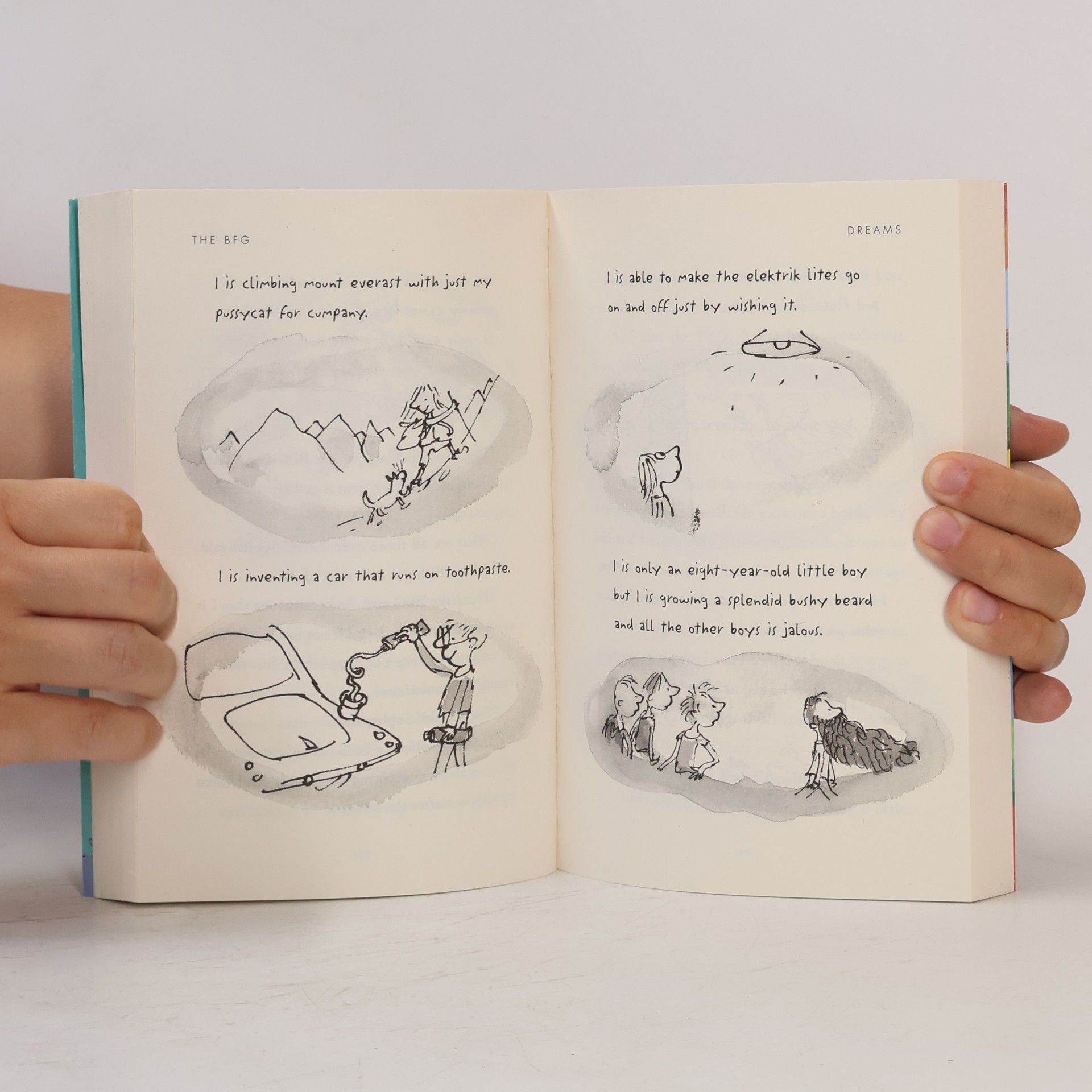 Roald Dahl The BFG