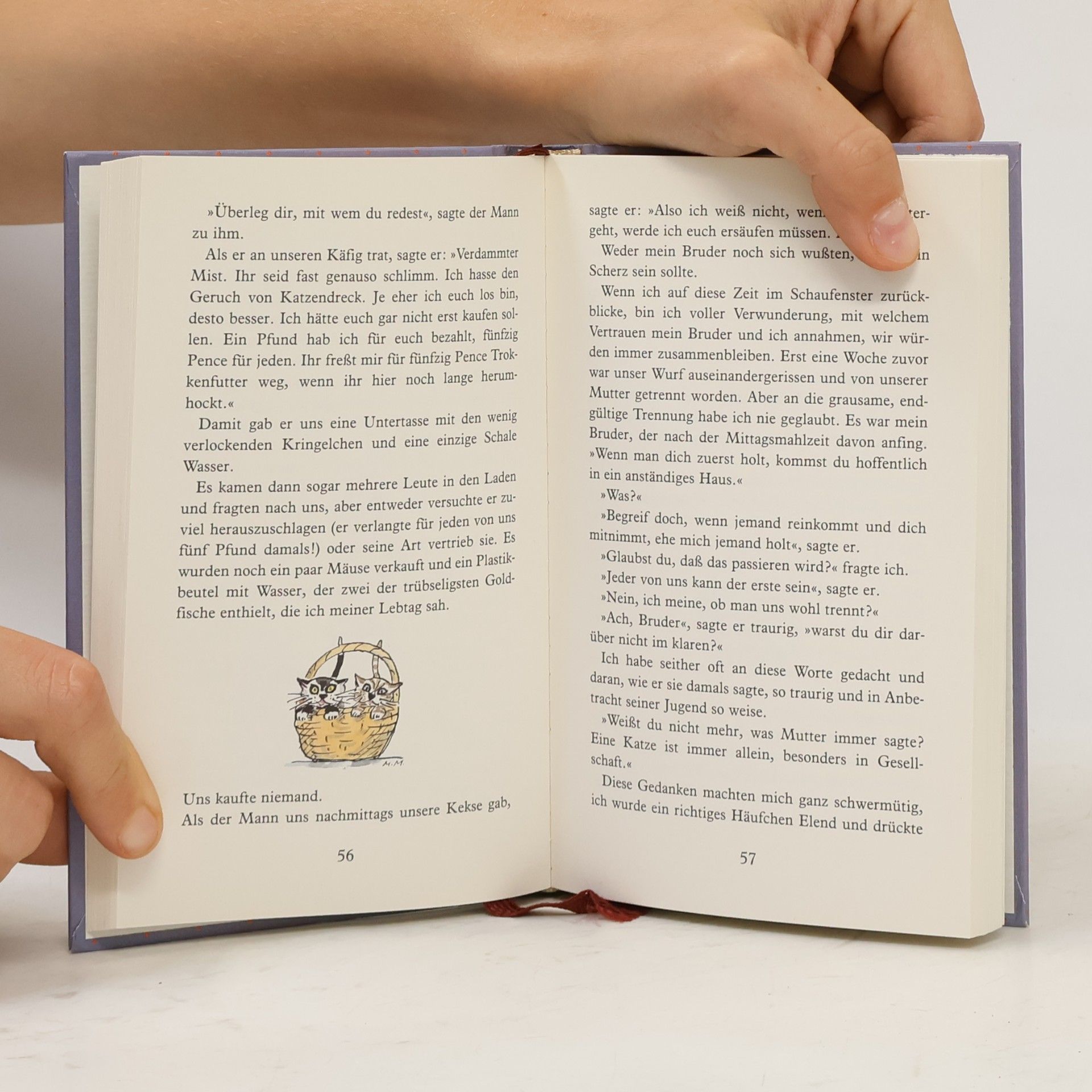 Autorenkollektiv Das kleine Buch für die wunderbare Großmutter.