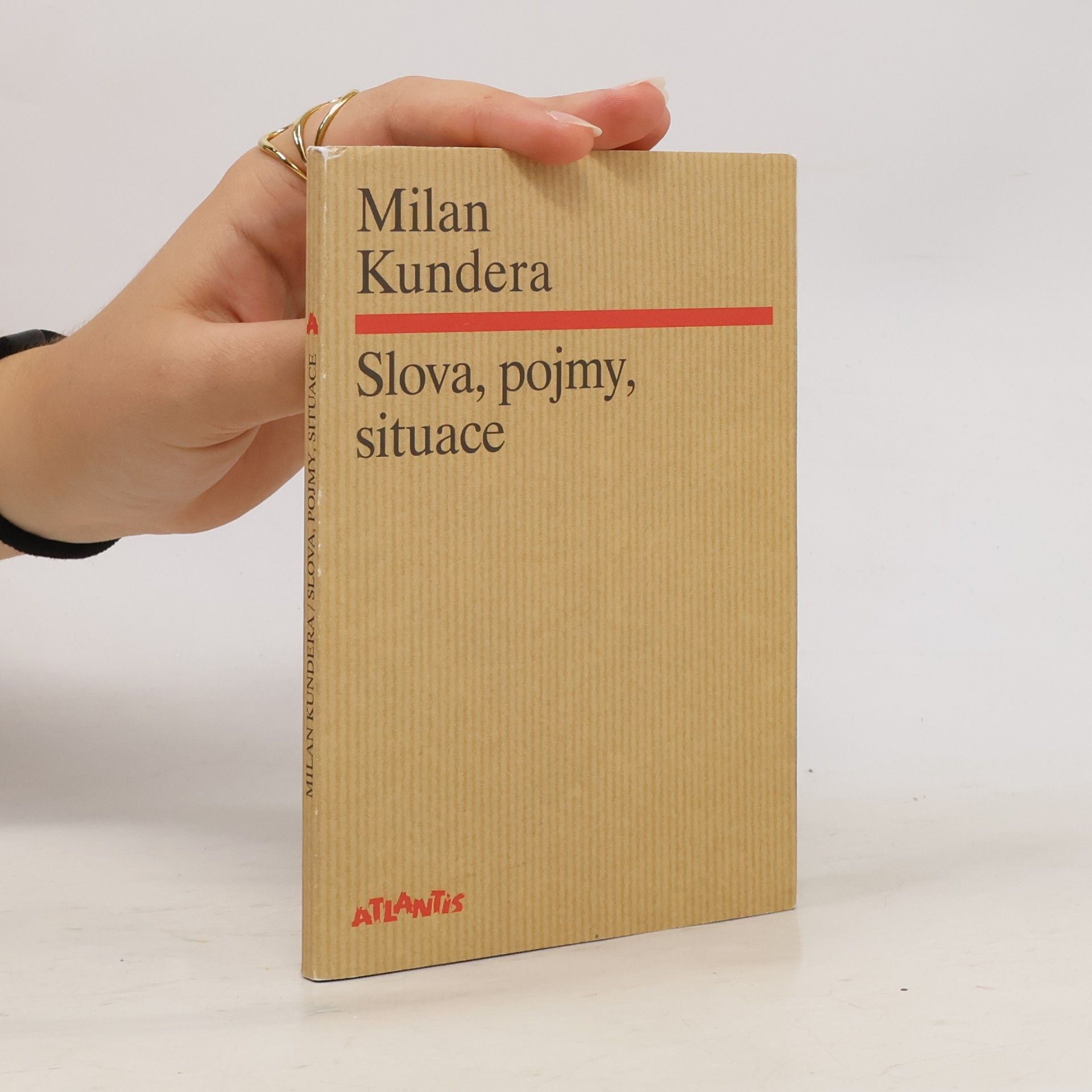Milan Kundera Slova, pojmy, situace
